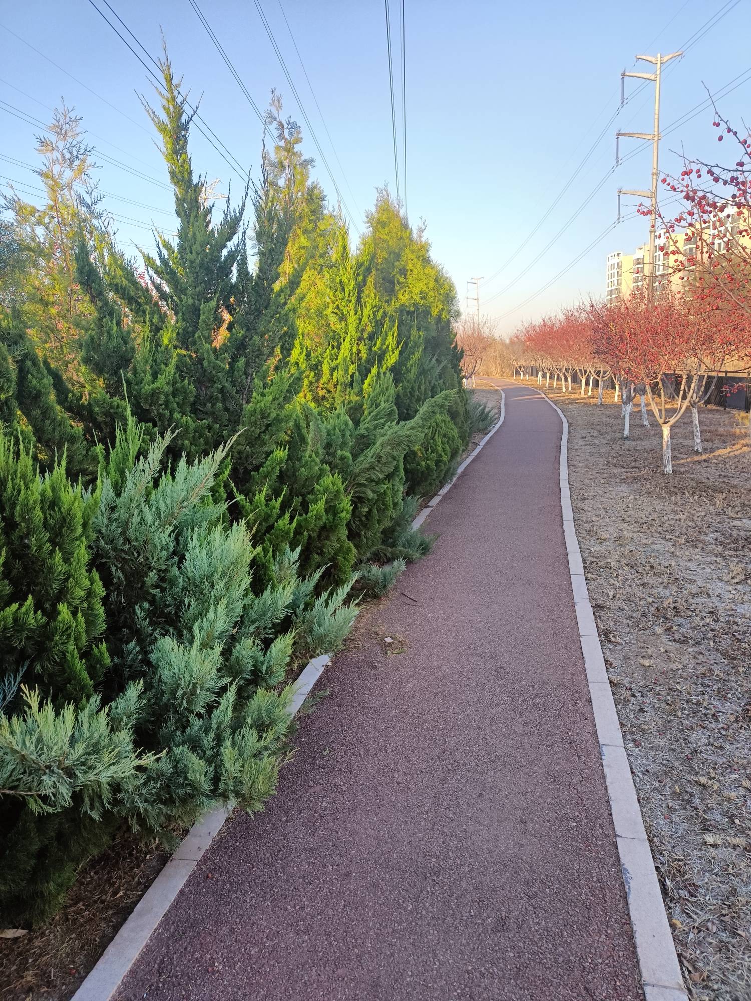 溜达，溜达，



88 / 作者:生蚝熟了 / 