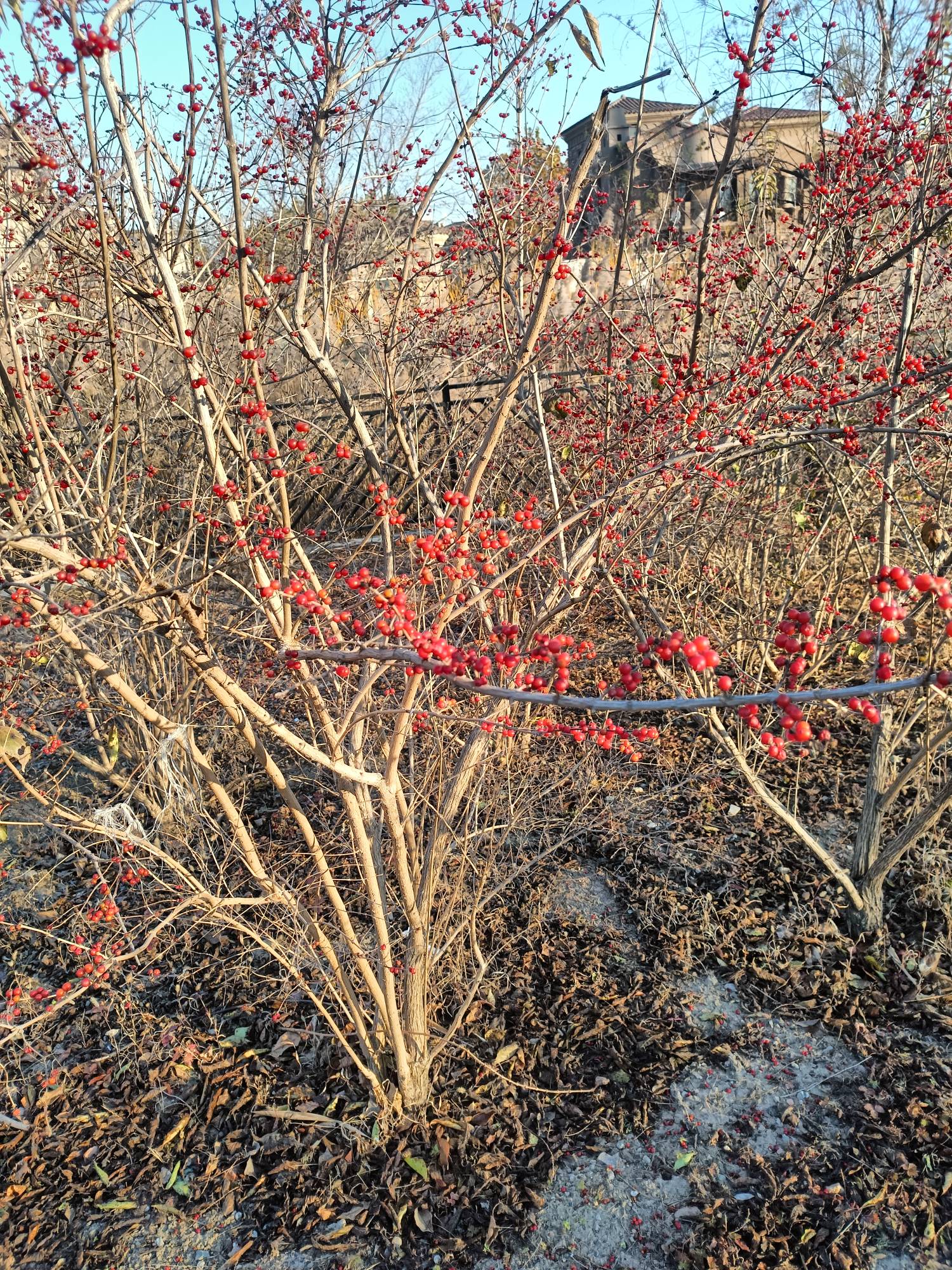 溜达，溜达，



90 / 作者:生蚝熟了 / 