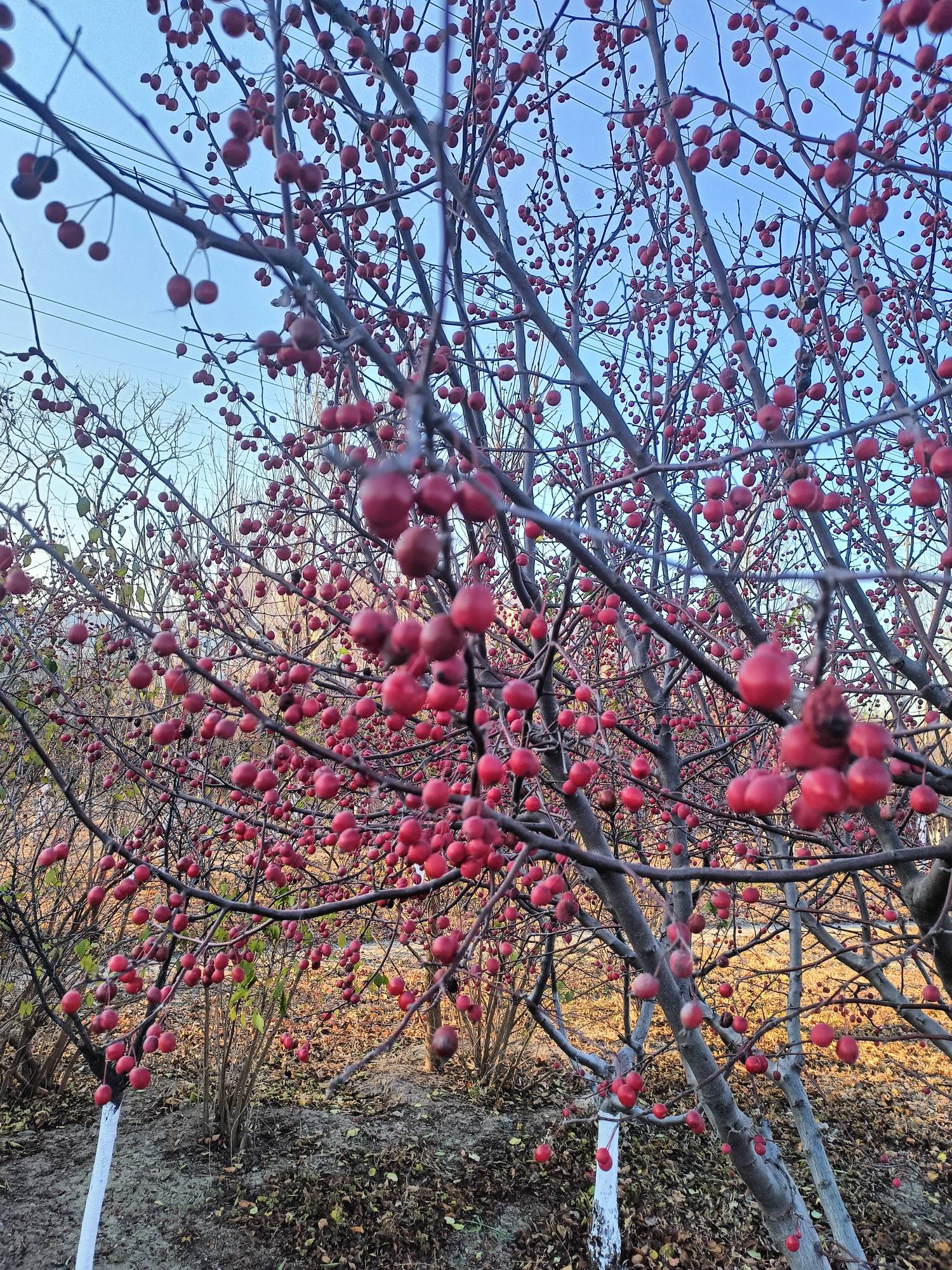 溜达，溜达，



30 / 作者:生蚝熟了 / 