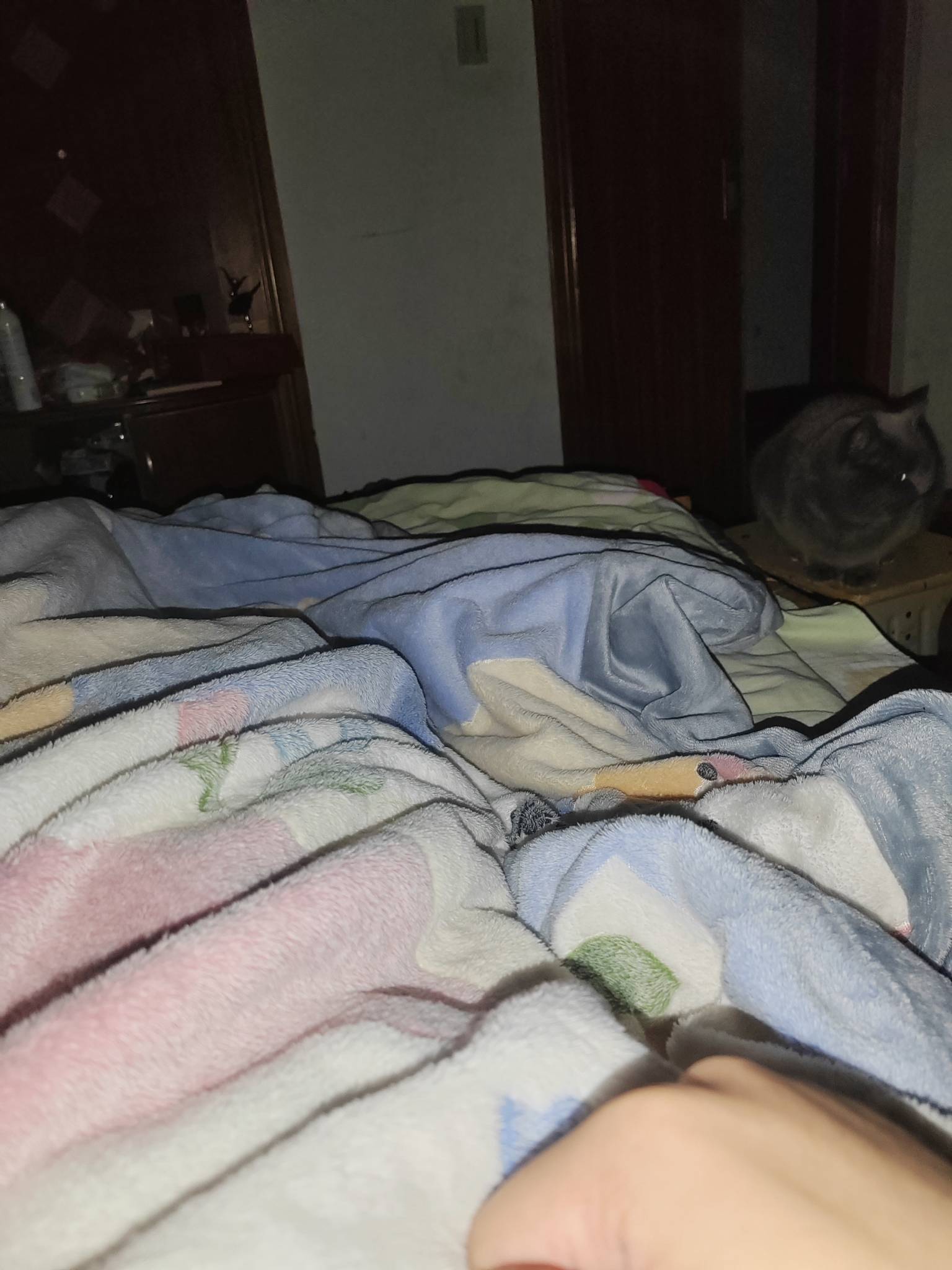 这踏马真冷  一层被子给我冻醒了外面挂壁的老哥怎么受了的


78 / 作者:我爱小小孟 / 