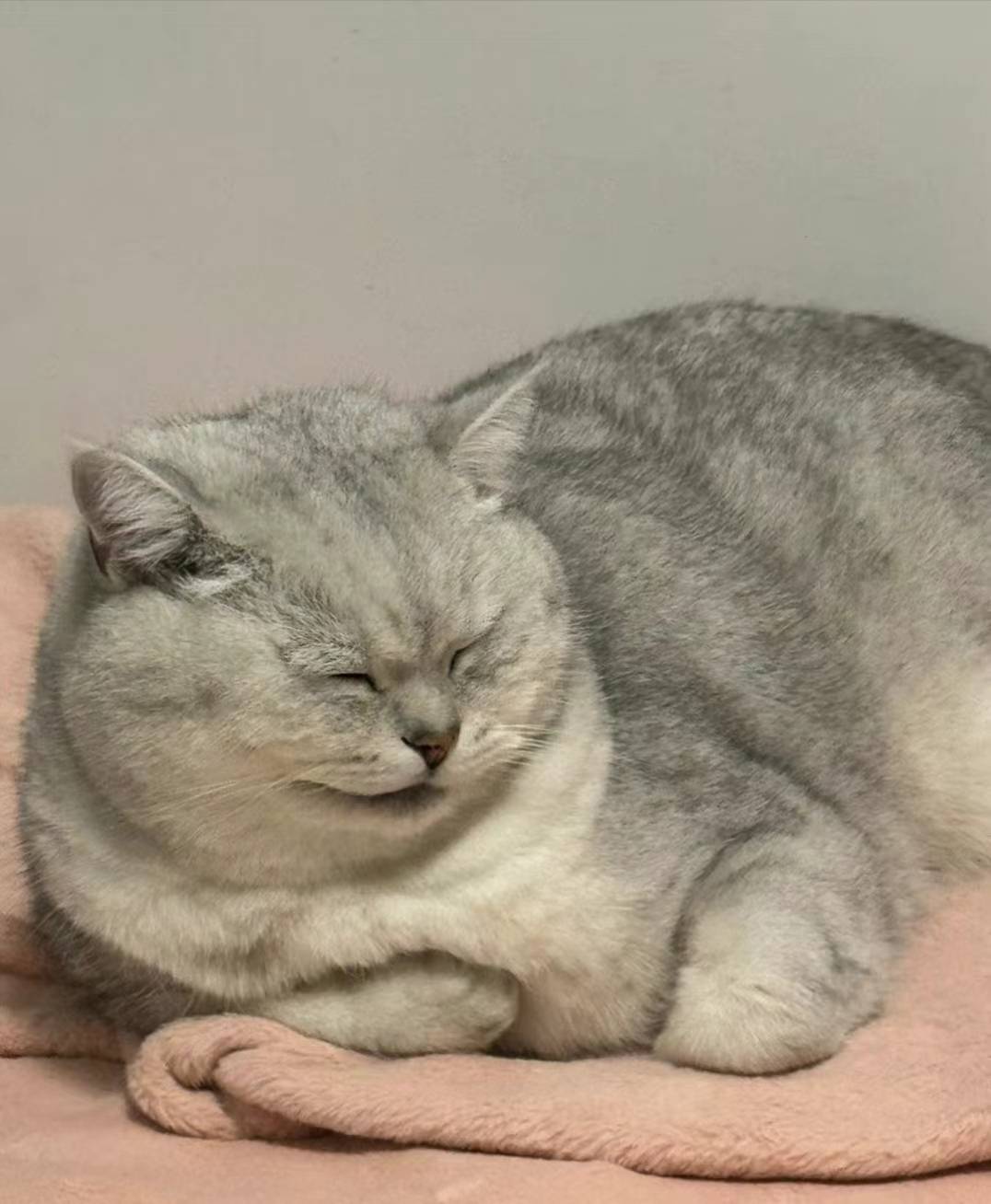 服了大半夜的楼下不知道哪里有个女的在苦

44 / 作者:爱吃猪脚饭 / 