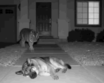 南京话费不能充值携号转网号码吗有没冲过的

31 / 作者:白芷嫣 / 