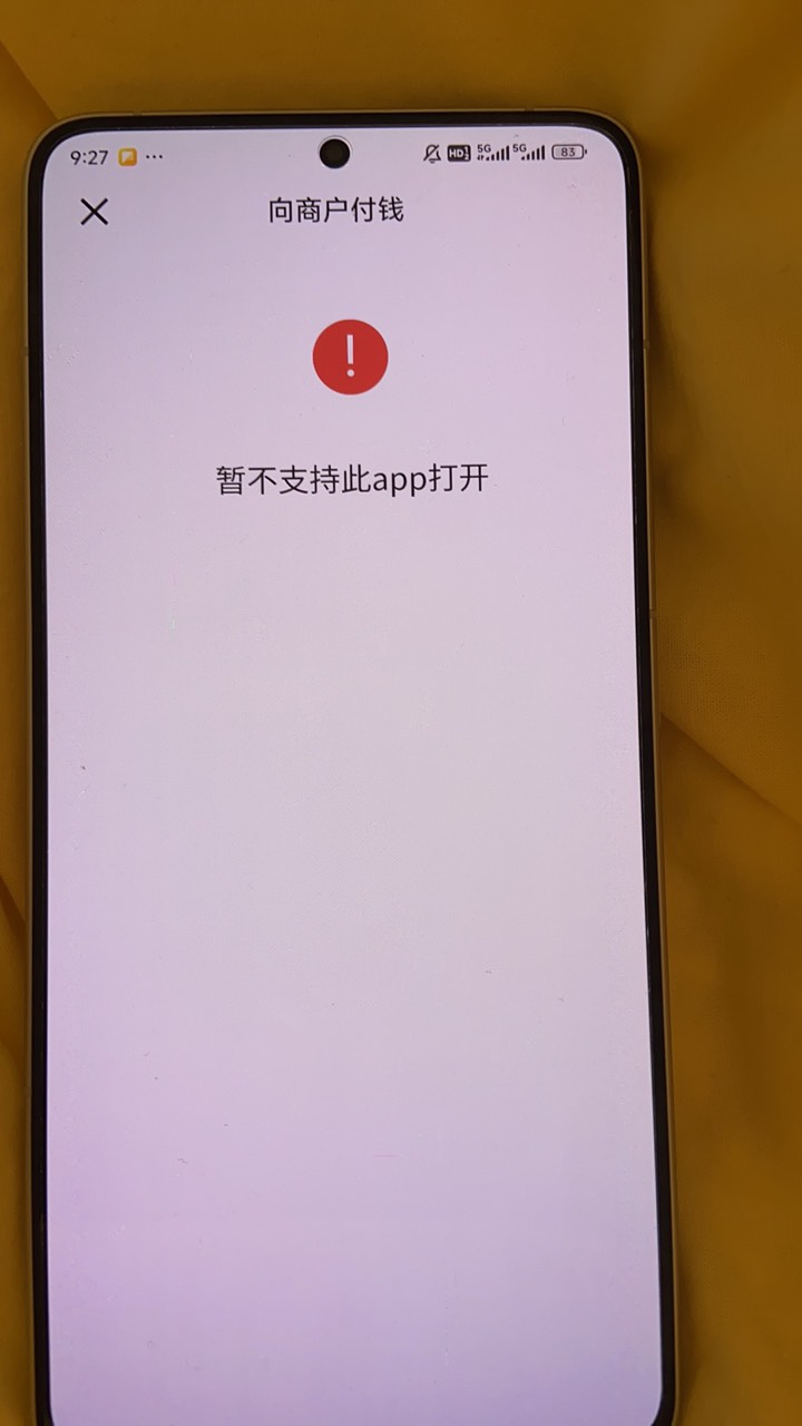 老哥们数字人民币扫微信经营码这样是怎么回事 记得前几天还正常支付的

45 / 作者:韩鹏飞113 / 