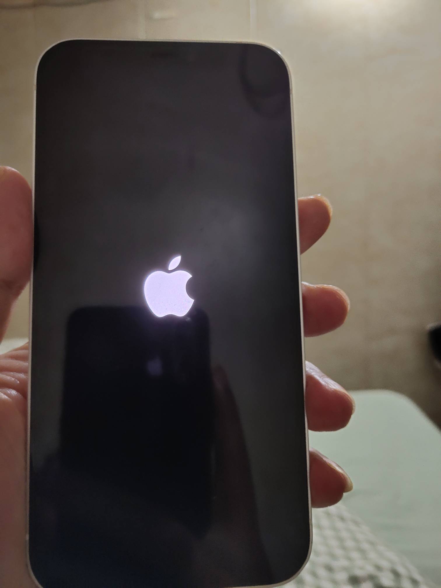 又用回挂壁安卓了，苹果手机突然坏了，身上只有24张，想买个iqoo15要41张，博①博全挂98 / 作者:日了中子星 / 