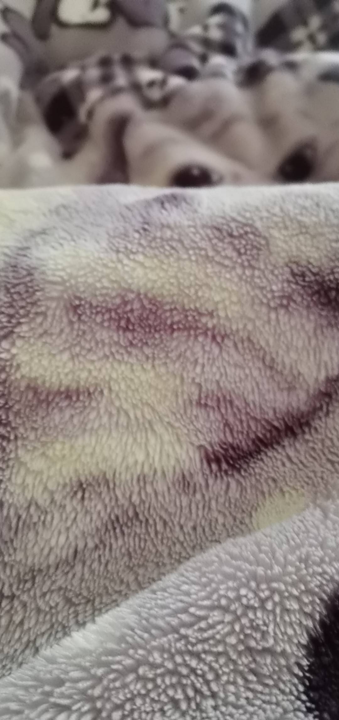 有没有老哥跟我一样，躺床上刷卡农

93 / 作者:老哥想上岸！！ / 