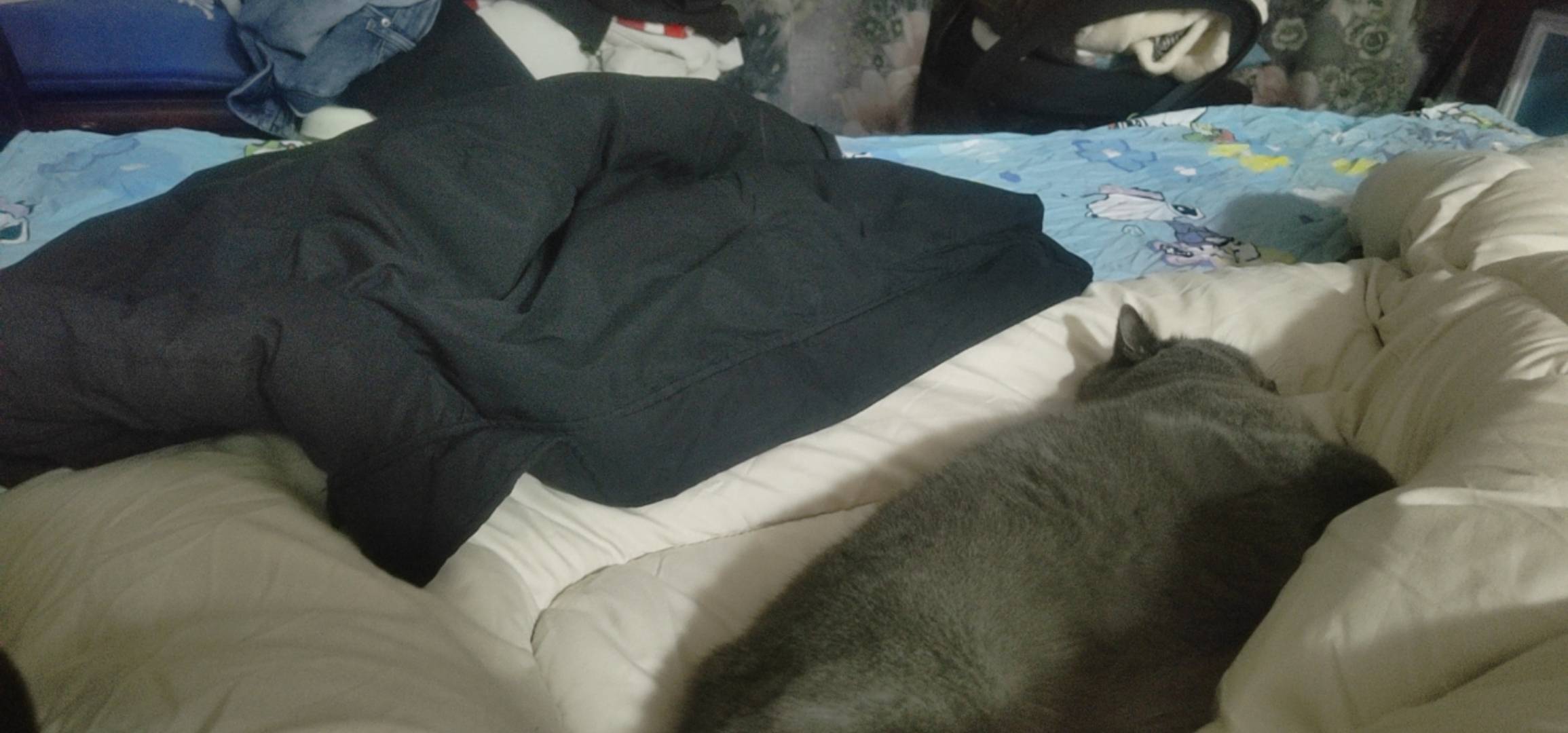 又花了179拿下件衣服！


13 / 作者:我爱小小孟 / 