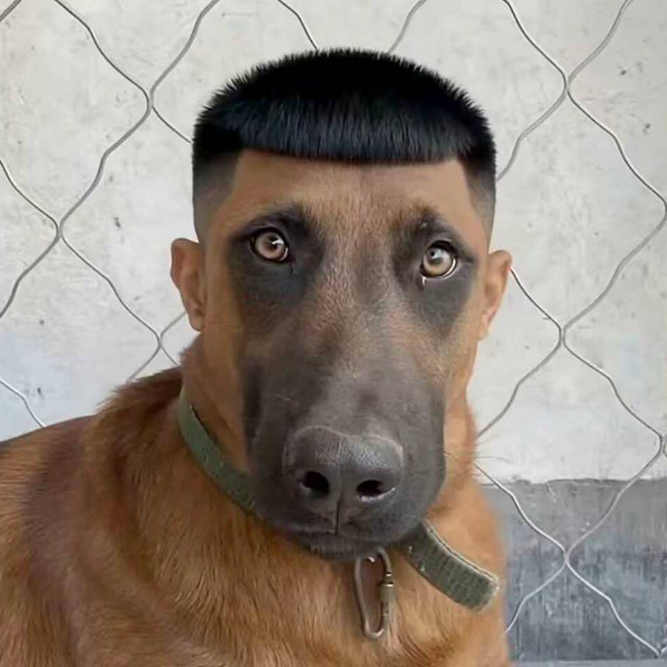 游戏毛还得是元梦之星

52 / 作者:季伯长 / 