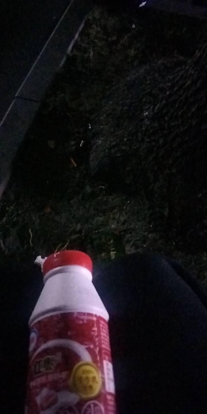 有没有zh园，或者枫景苑的老哥，能不能过去睡一晚啊，公园冻的瑟瑟发抖

77 / 作者:宁波躺平老哥 / 