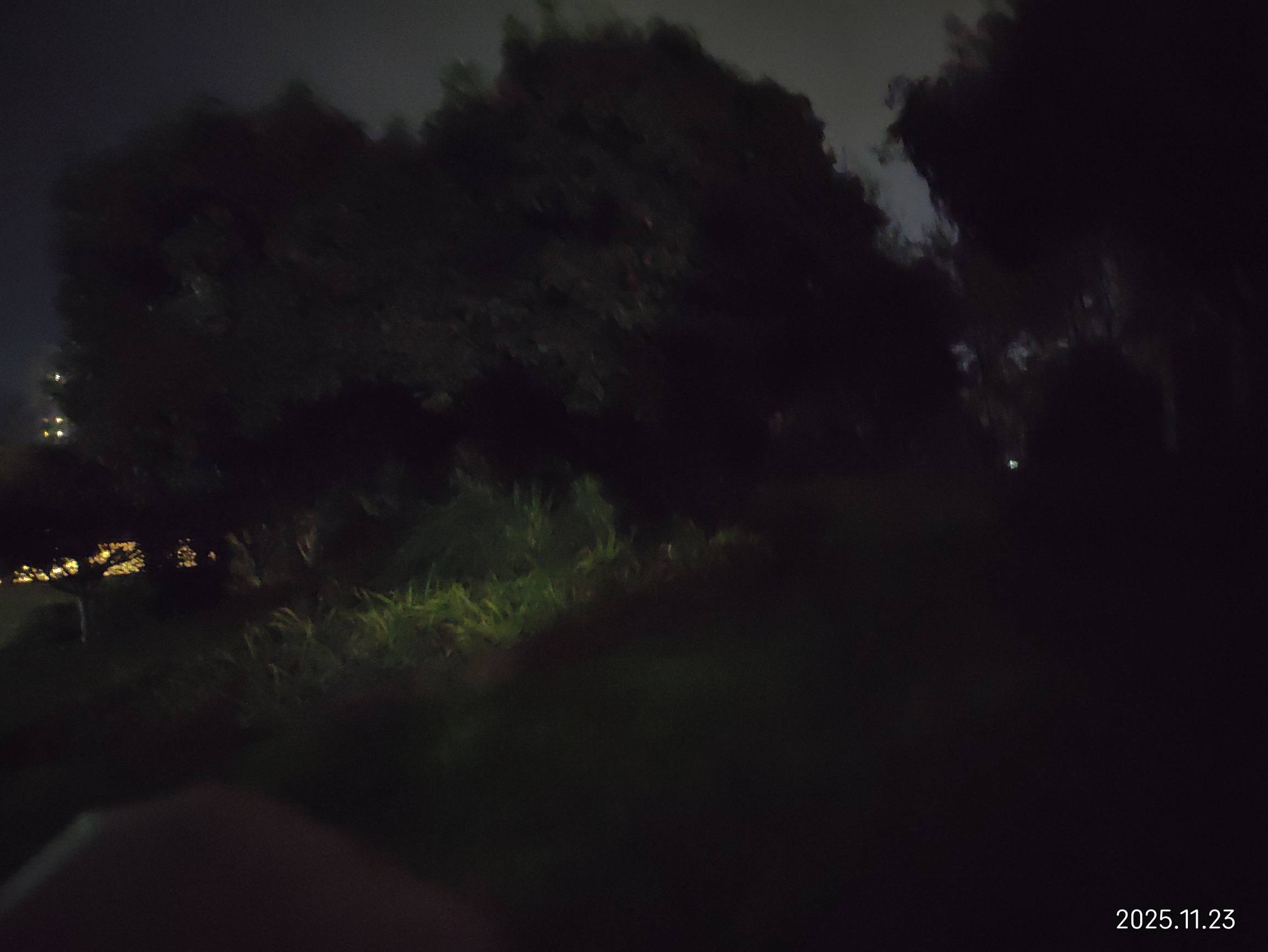 老哥们，彻底瘫痪公园，天气降温又下小雨，已经不能躺了，还好旁边有个装修豪华的卫生16 / 作者:红菜苔 / 