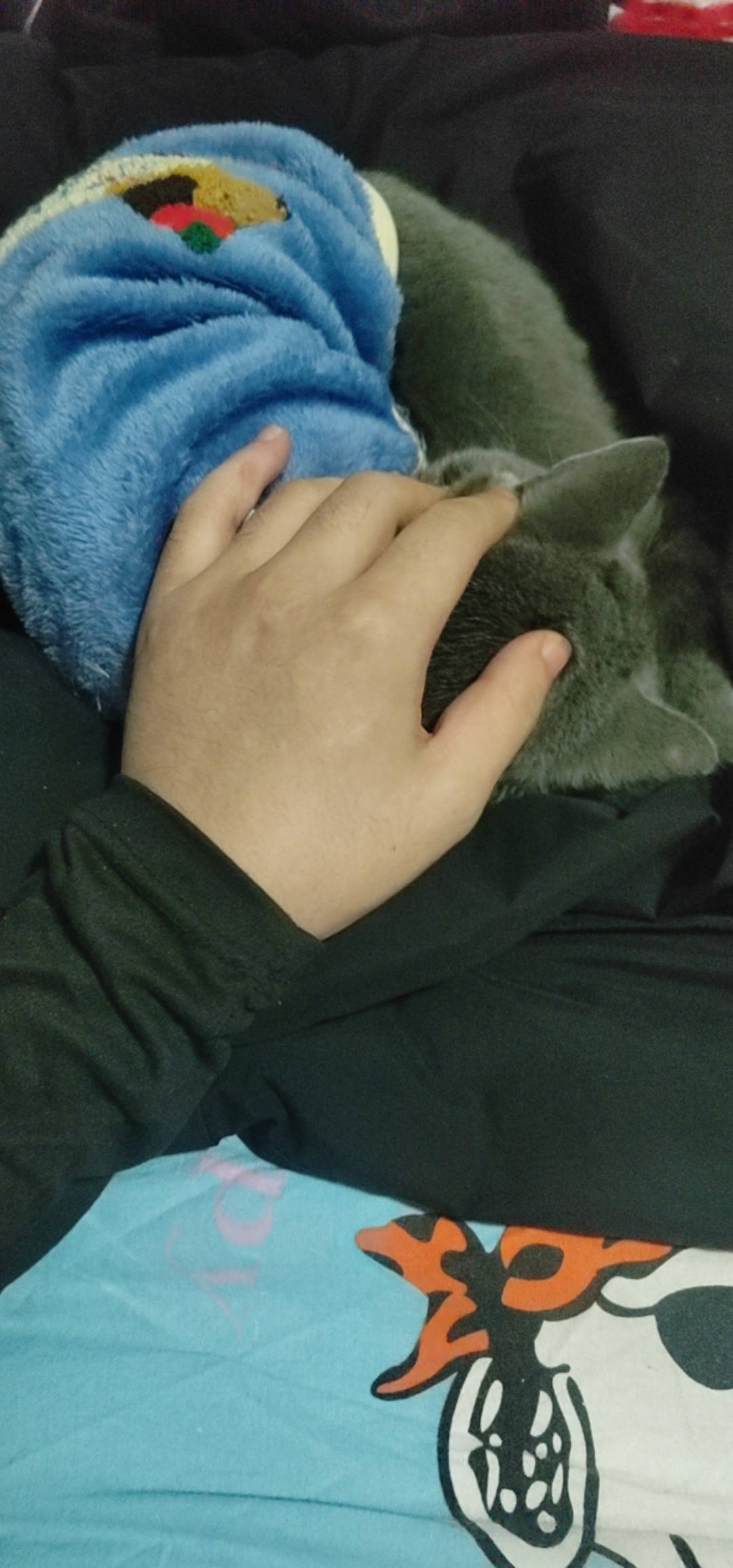 天天吃了睡 睡了吃一睡就是一天  比老哥还能睡

76 / 作者:我爱小小孟 / 