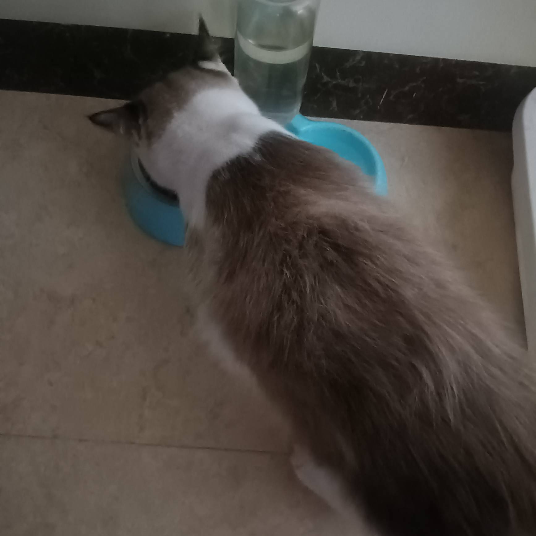 天天吃了睡 睡了吃一睡就是一天  比老哥还能睡

78 / 作者:广西第一深情 / 