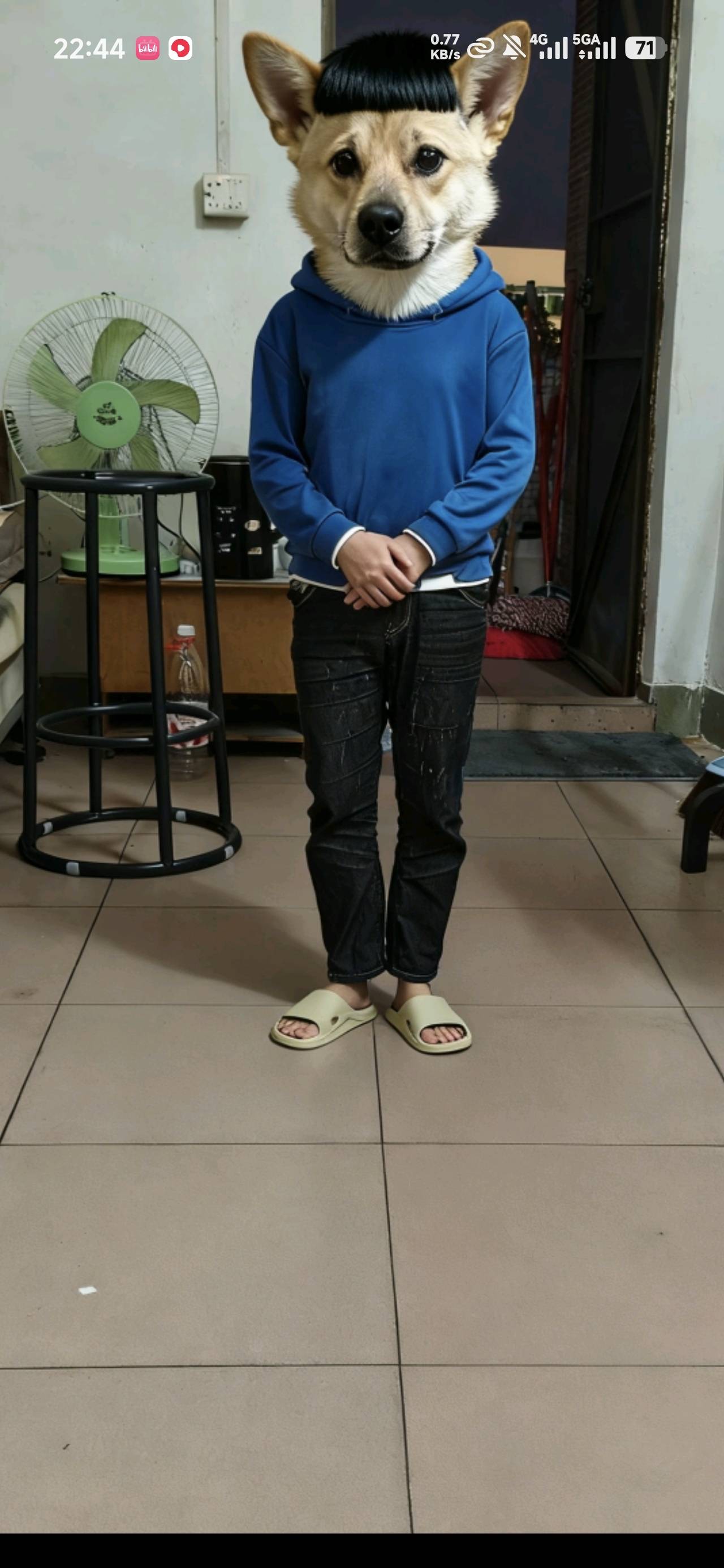 挂壁久了人真的会疯

69 / 作者:公孙梨pear / 