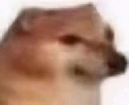 近段时间每天都至少喝2瓶可乐+一杯奶茶。水都很少喝，感觉还是戒了，不然真得得糖尿病59 / 作者:昼夜寻觅 / 