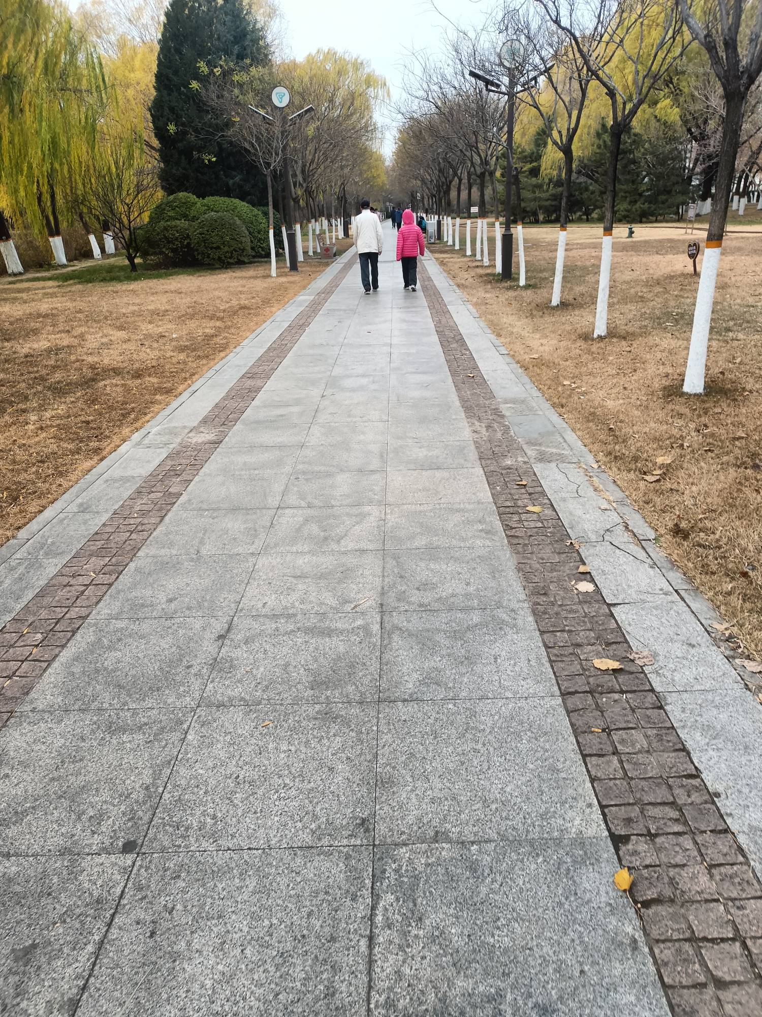 老哥们天气挺好，没事出来溜溜，总躺在床上不好



50 / 作者:生蚝熟了 / 