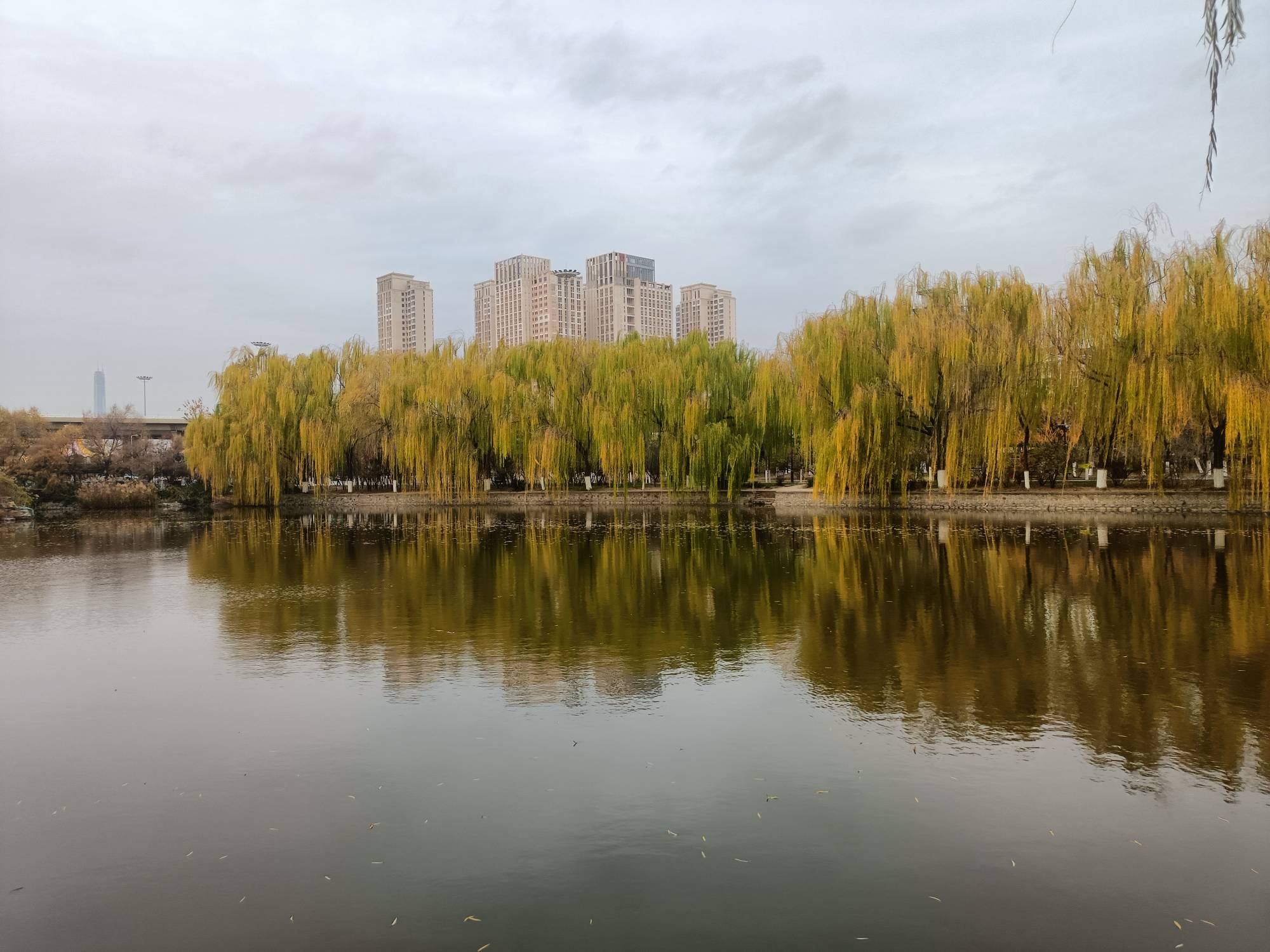 老哥们天气挺好，没事出来溜溜，总躺在床上不好



73 / 作者:生蚝熟了 / 