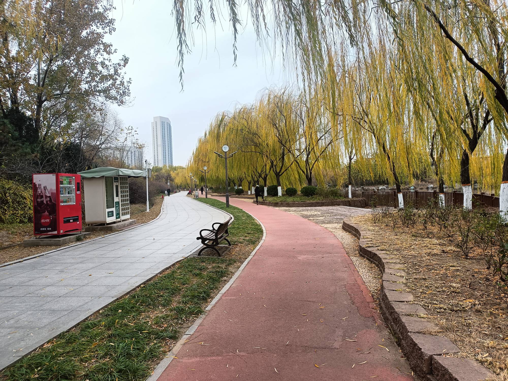 老哥们天气挺好，没事出来溜溜，总躺在床上不好



27 / 作者:生蚝熟了 / 