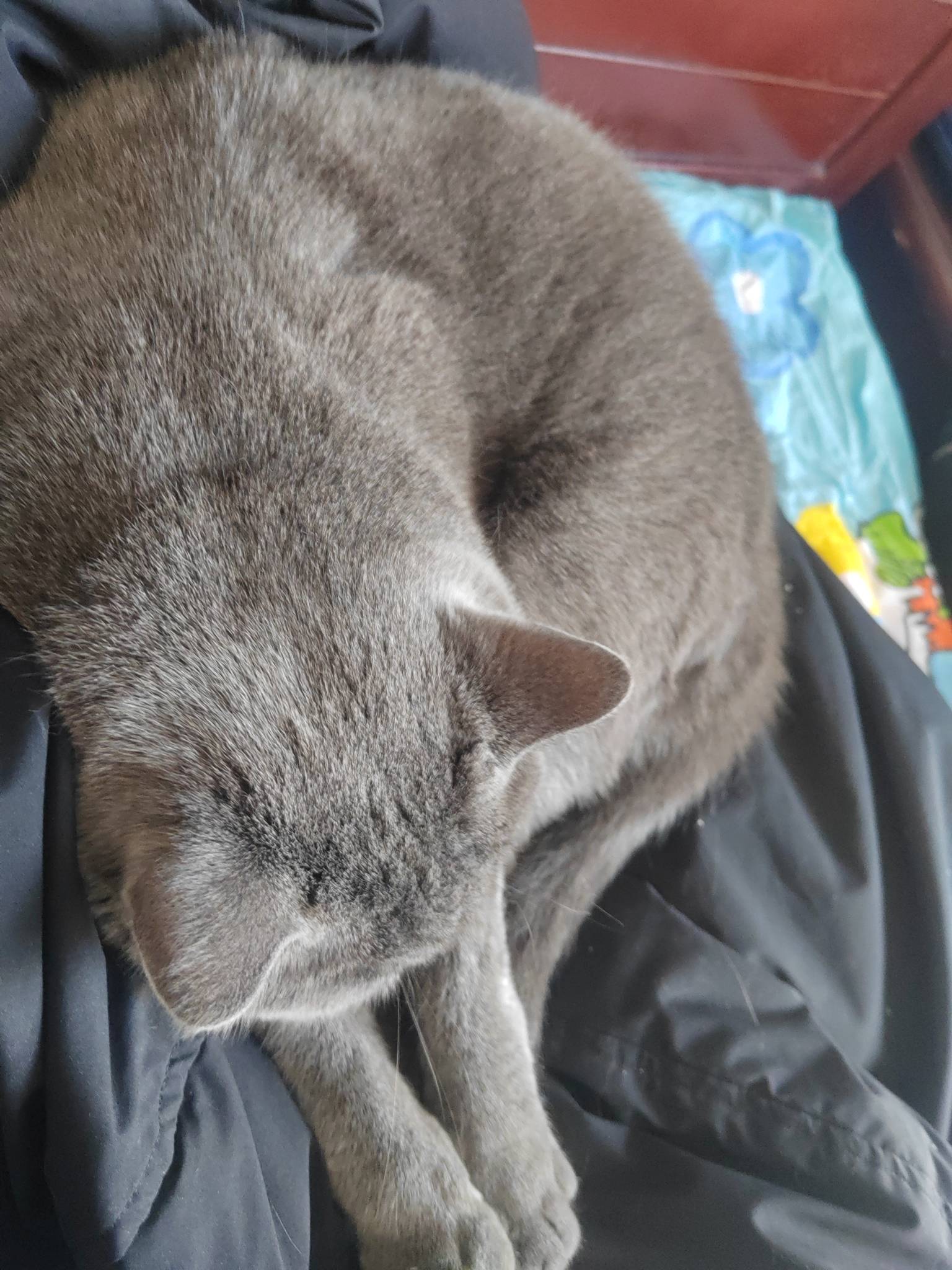 孩子一岁半，工资偷偷用了，骗媳妇说没发，昨晚发现了，本来说今天请假和我去离婚，今90 / 作者:我爱小小孟 / 