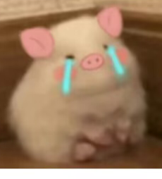 和网恋女网友见面了，说去吃海底捞，我说现在太晚了去吃拉面，刚要扫码取单车，女网友36 / 作者:李霸霸哦 / 