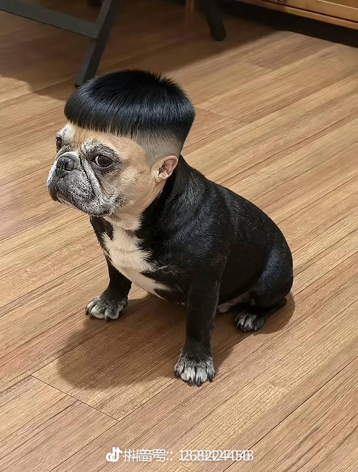 老哥们。一个多星期没洗澡了，身上好股臭屎臭味。你们会不会

76 / 作者:火星英雄7 / 