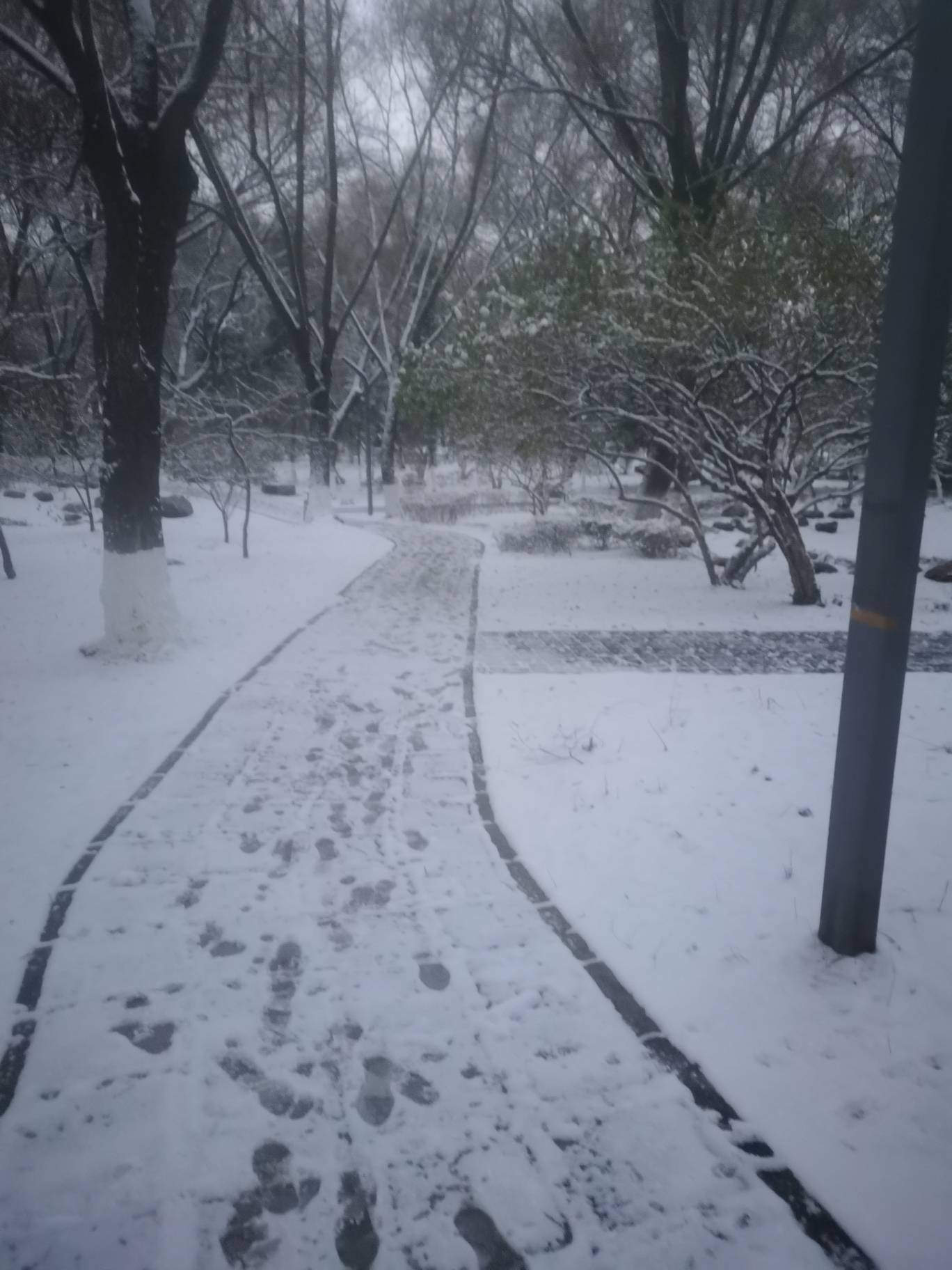 彻底挂壁了，走了两公里只为了用碰一碰红包


87 / 作者:番茄炒土豆 / 