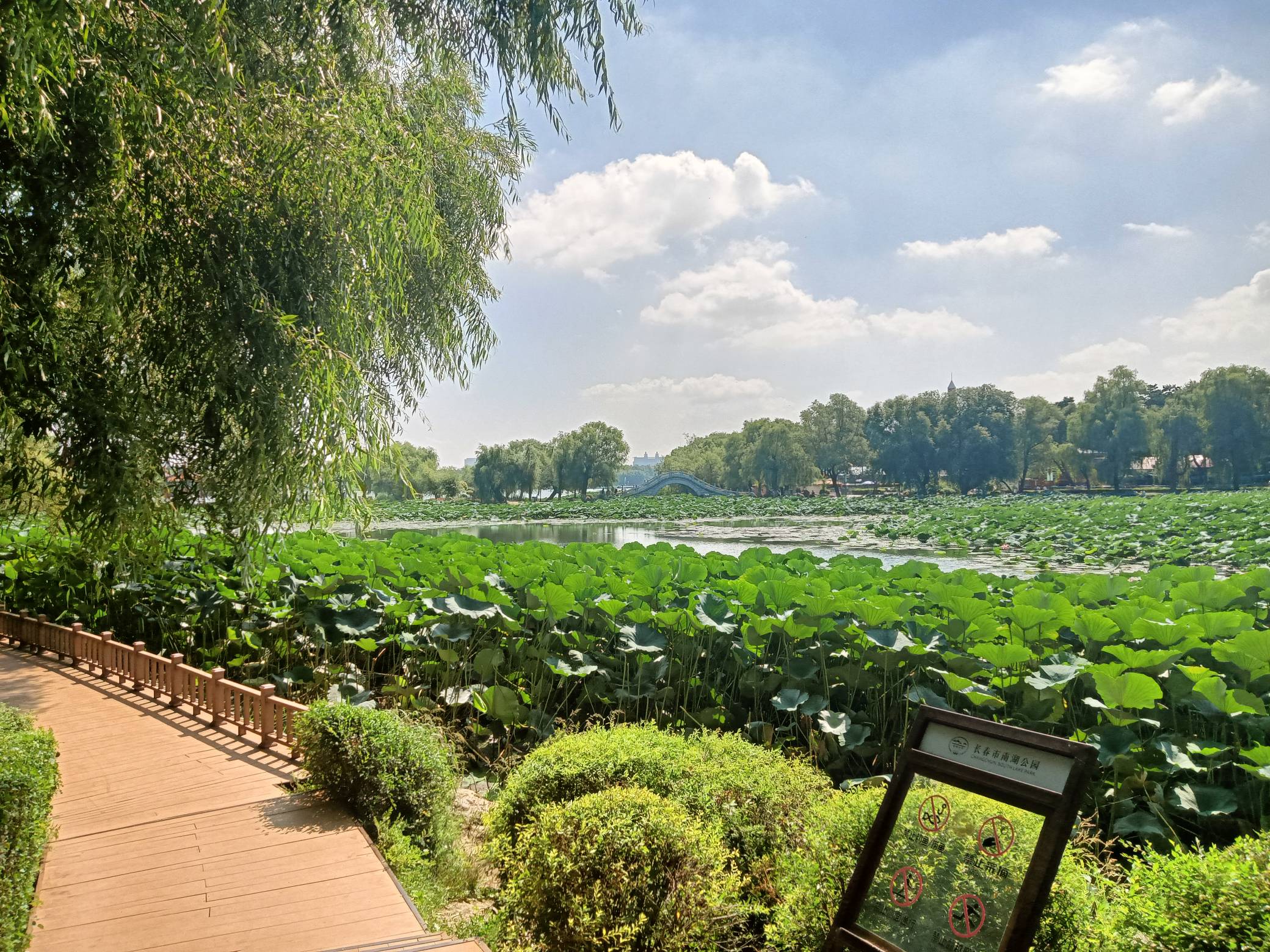 时隔四年，虽然随着时间科技替代了你，但在我心里你依然还是最强大的那一个，我是一个4 / 作者:变了格局小了 / 