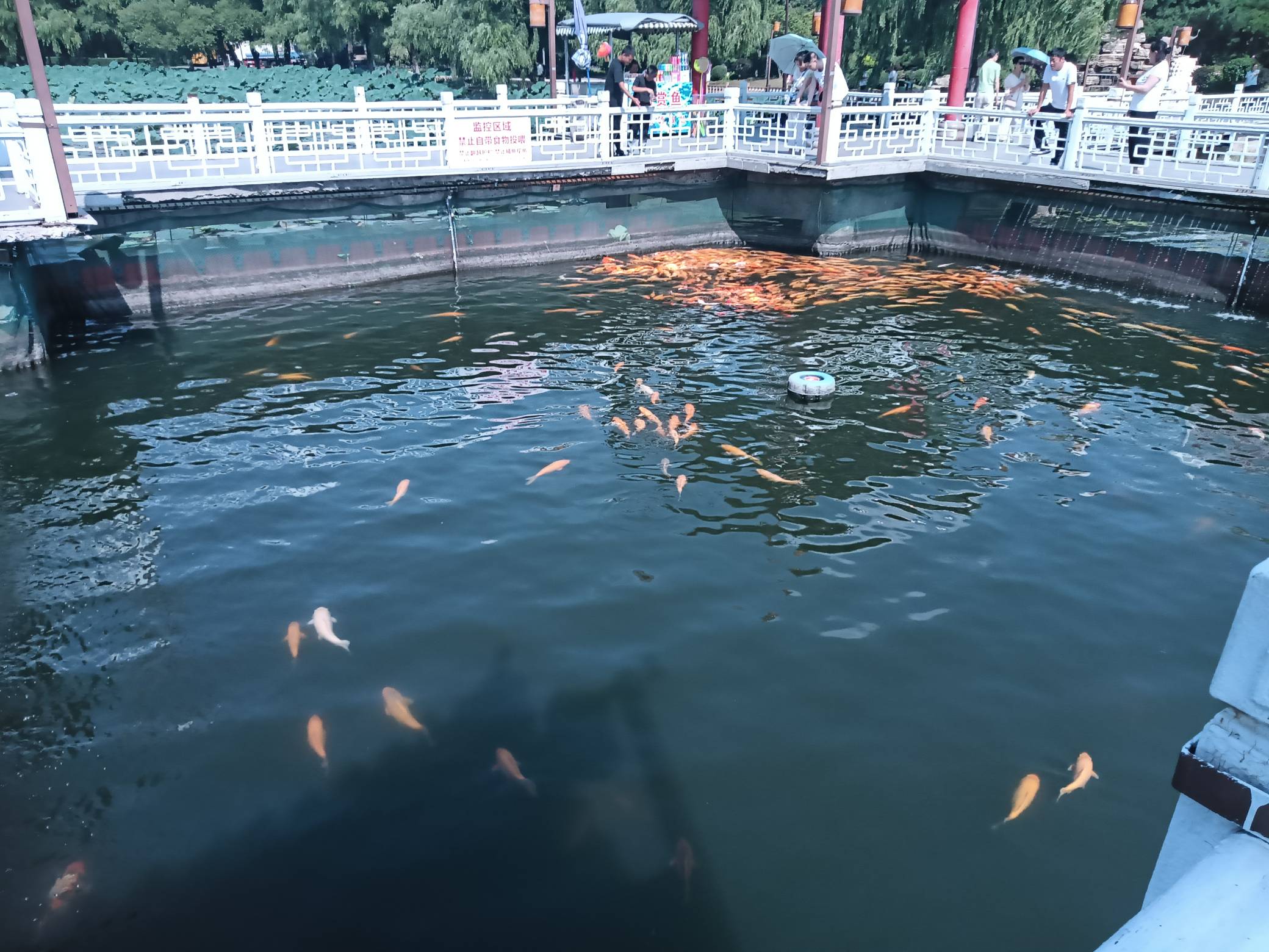 时隔四年，虽然随着时间科技替代了你，但在我心里你依然还是最强大的那一个，我是一个26 / 作者:变了格局小了 / 