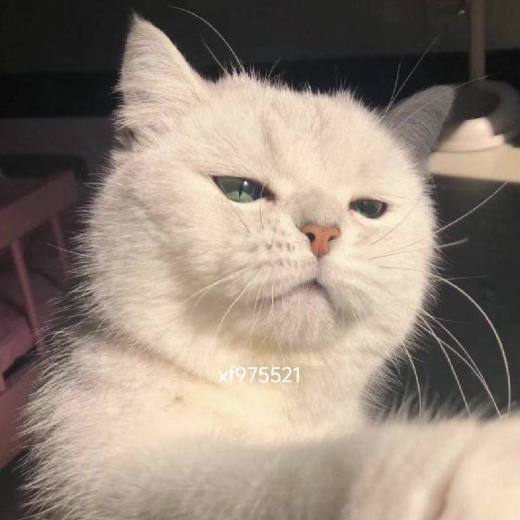 老哥们，昭通抽过的还能助力吗
46 / 作者:嗯嗯额啊啊 / 