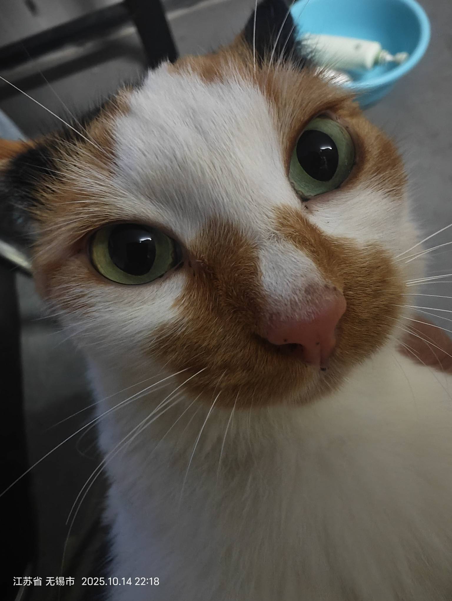 话费8.5出100有没有人要

95 / 作者:YYuo / 