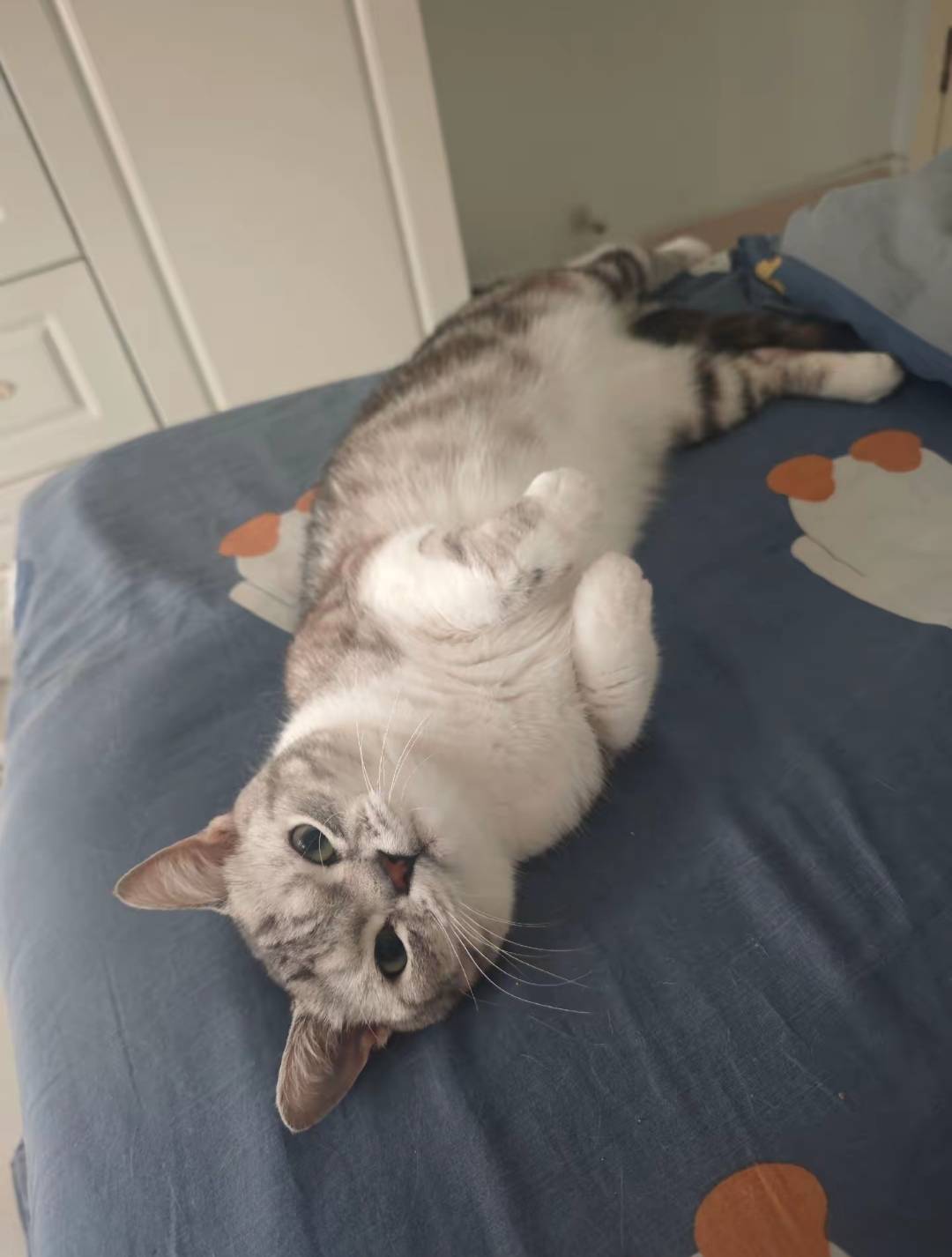 都是命啊，那个手机那天晚上把链接都甩到脸上了，我就是不搞就是不搞，结果现在人家发7 / 作者:醉了就 / 