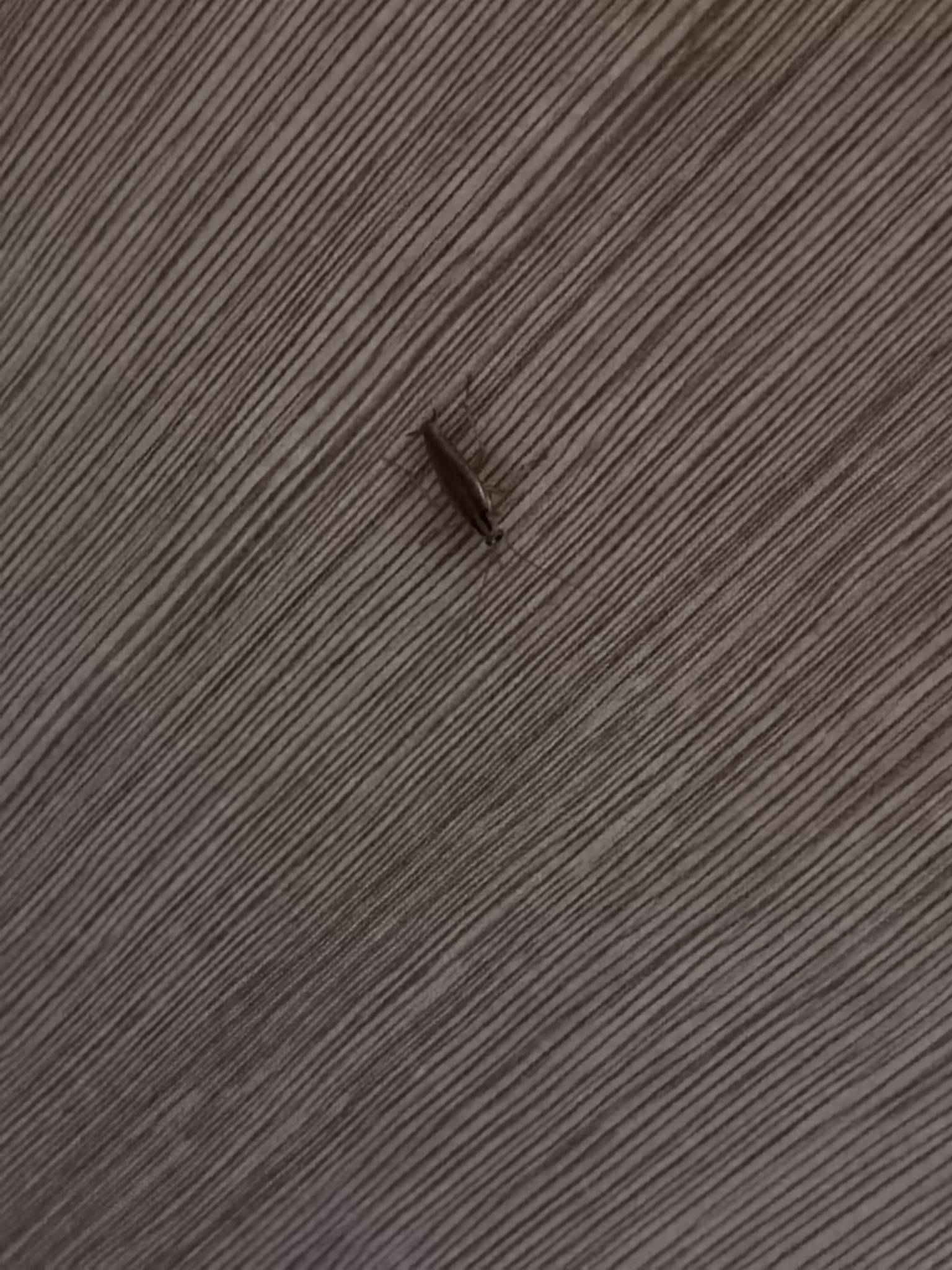 啥意思我上个wc都要爬过来看下？

10 / 作者:回望Yuki / 