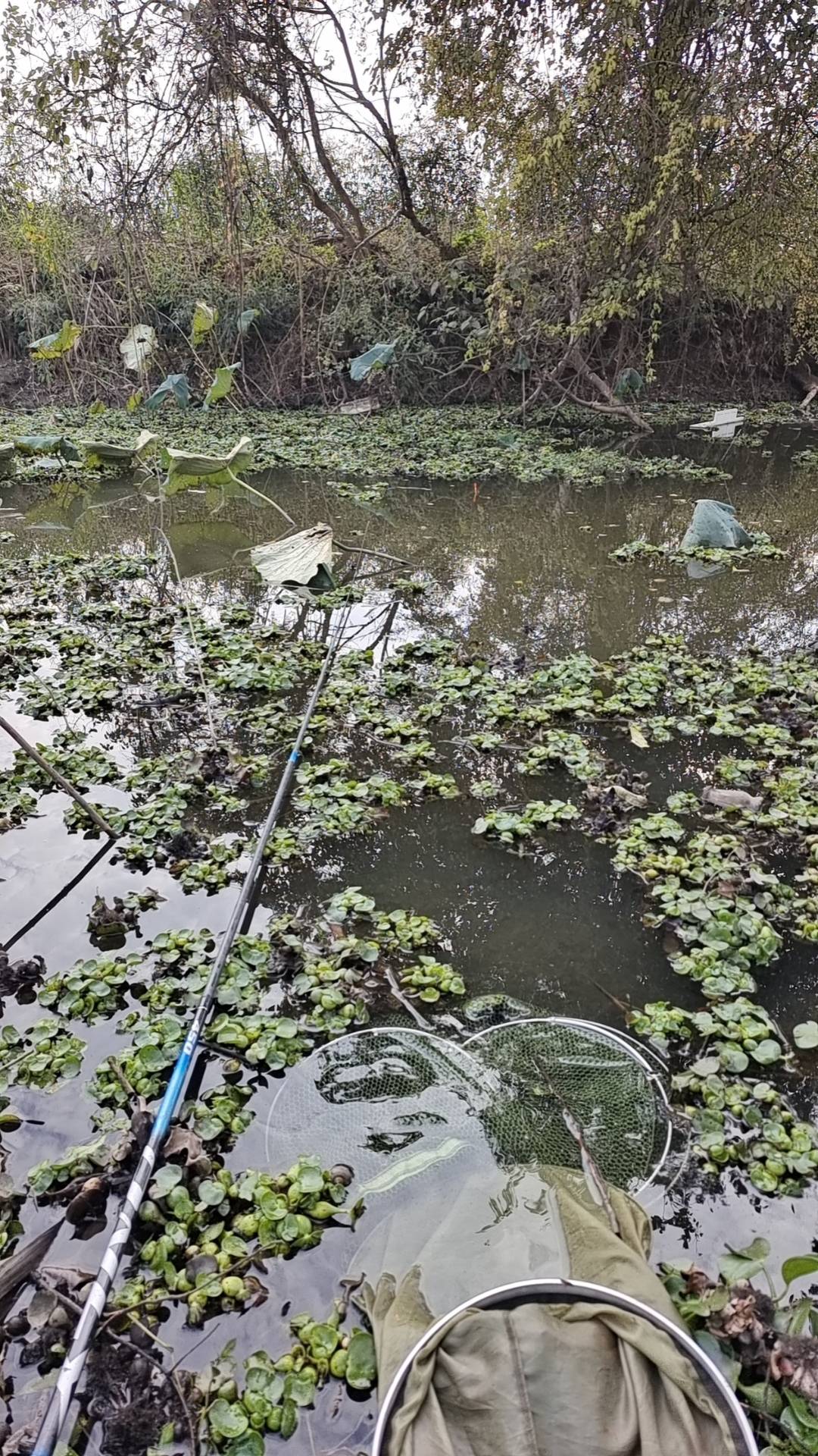 我昨天买羊绒衫，我说假一赔十，他说赔三，他不会也寄三件给我吧

50 / 作者:人死鸟朝天 / 