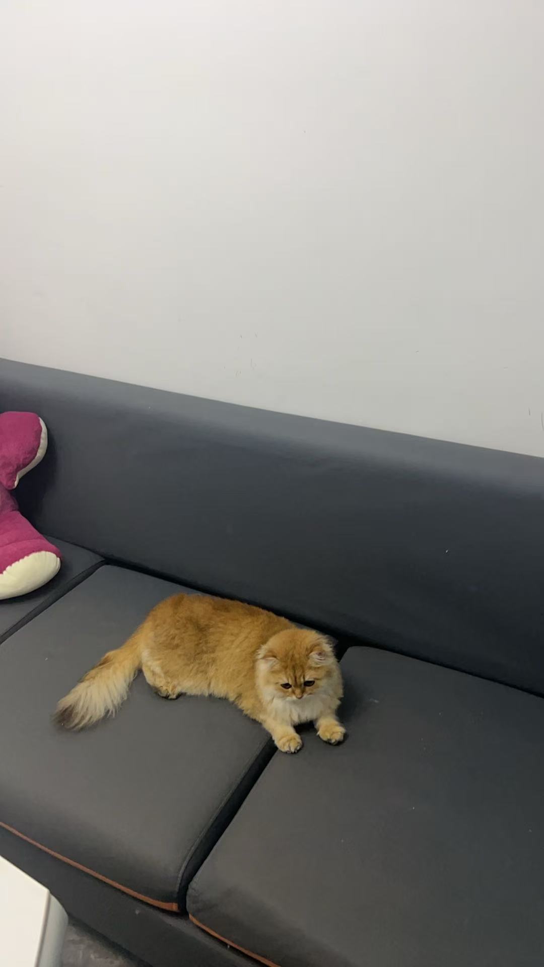 有没有卡点毛啊？今天还没破零呢

31 / 作者:醉了就 / 