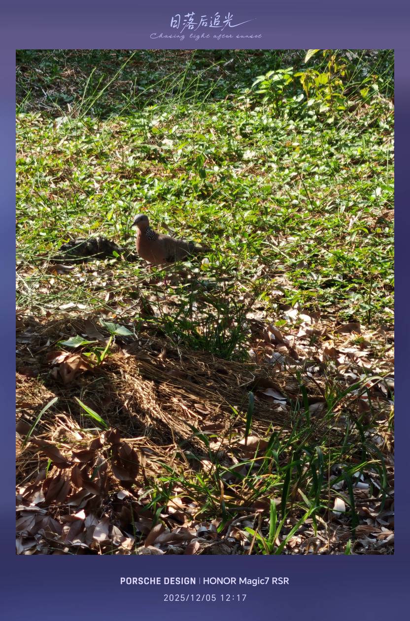 靓货 ，一级货


100 / 作者:普宁特邀演员达濠 / 