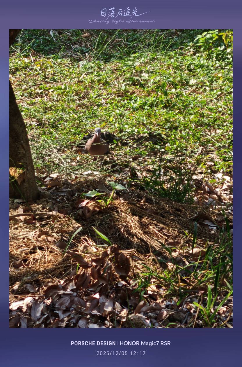 靓货 ，一级货


54 / 作者:普宁特邀演员达濠 / 