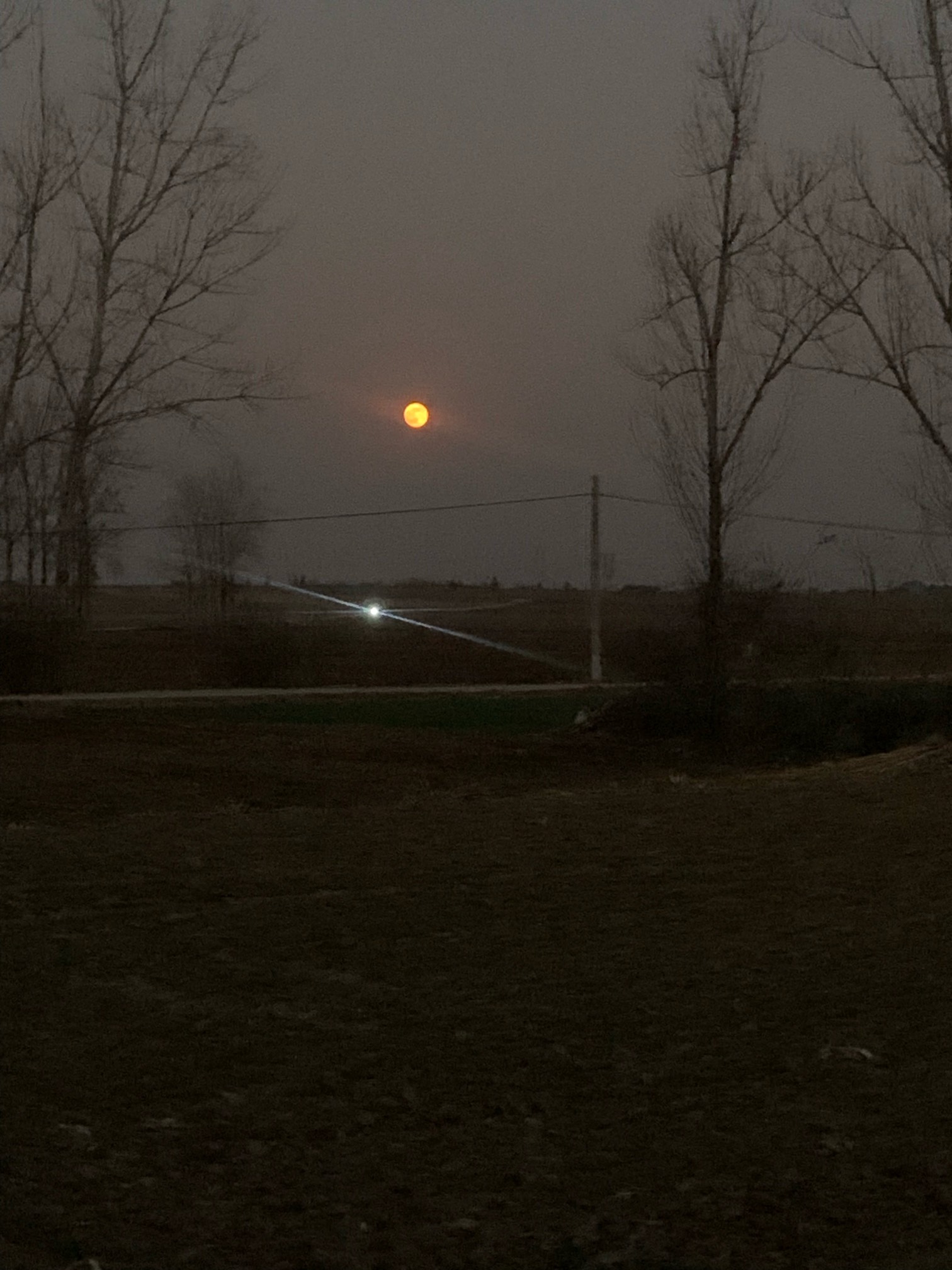 今晚的月亮咋这么大 坐标河南平顶山 平常跟洗脸盆一样大小 现在感觉三个洗脸盆一样大18 / 作者:陌上花开9698 / 