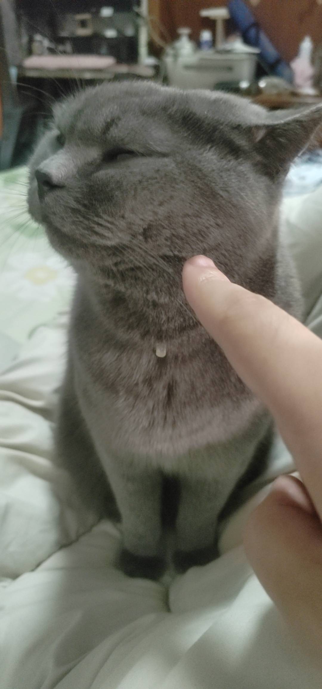 和老哥一样 一脸不服气

54 / 作者:我爱小小孟 / 