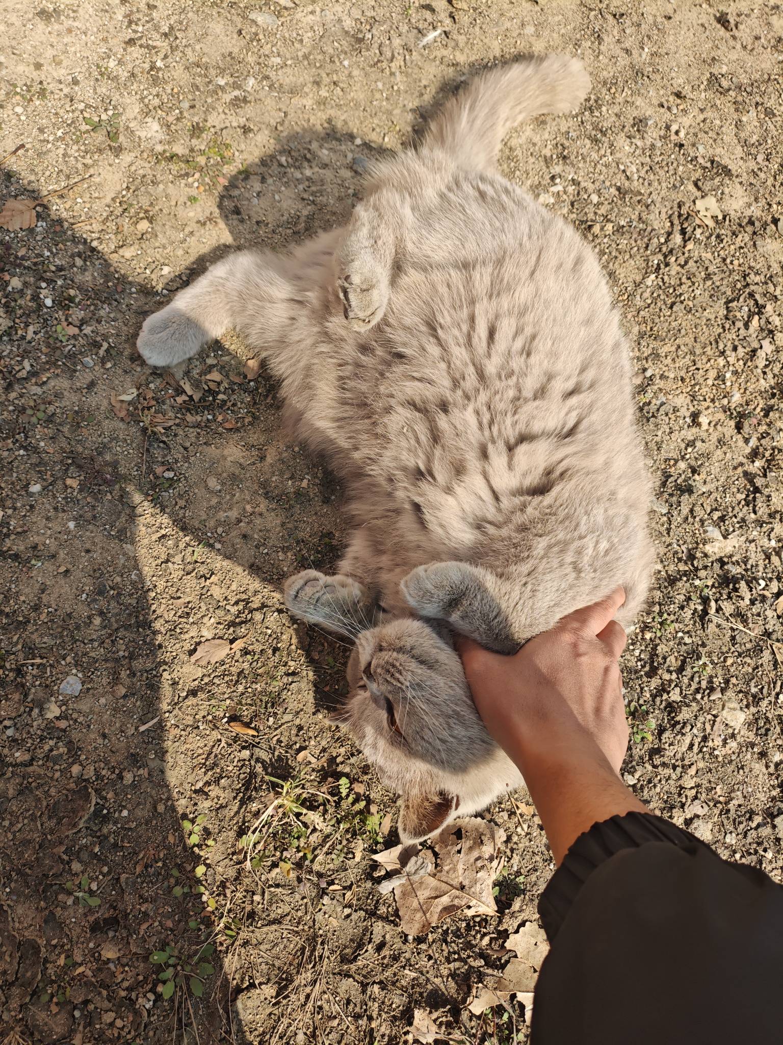 坦白了  老哥们  欠了2万  家里也没怪我  说帮我还15000  剩下的让我自己好好上班还77 / 作者:厌桁科技 / 