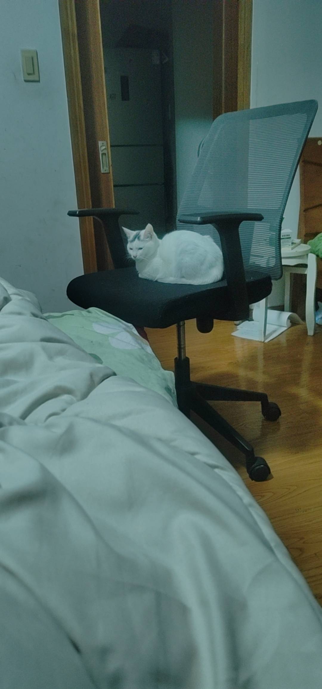 和老哥一样 一脸不服气

54 / 作者:我爱小小孟 / 