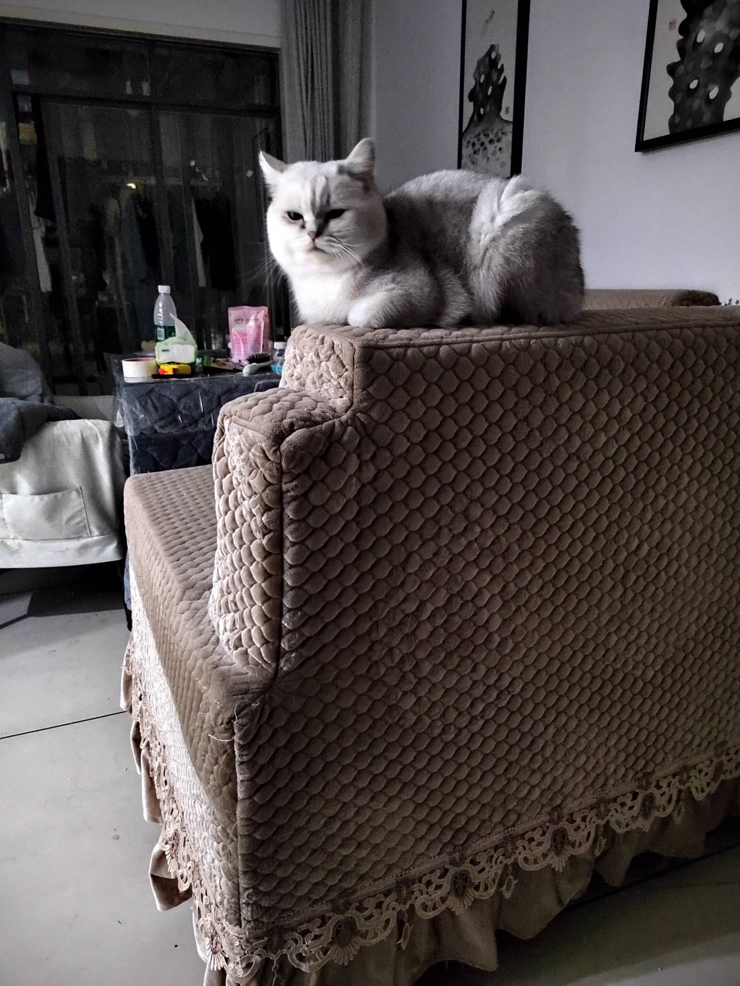 和老哥一样 一脸不服气

30 / 作者:莫道桑榆晚 / 