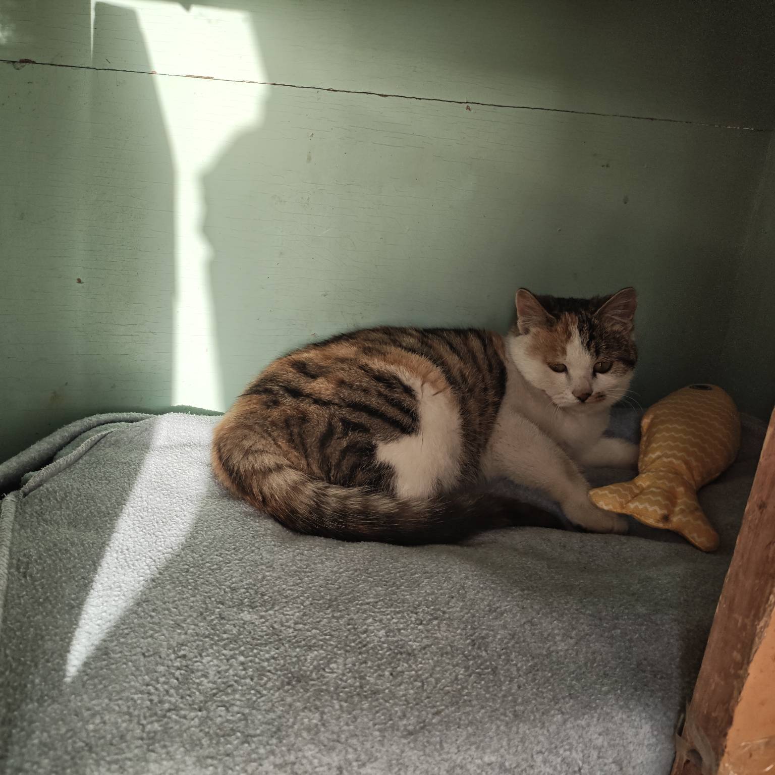 自从挂壁以后，每天最高兴的时候就是广子爆个三毛五毛的，比拉pg爆了还高兴


34 / 作者:苦难yt / 