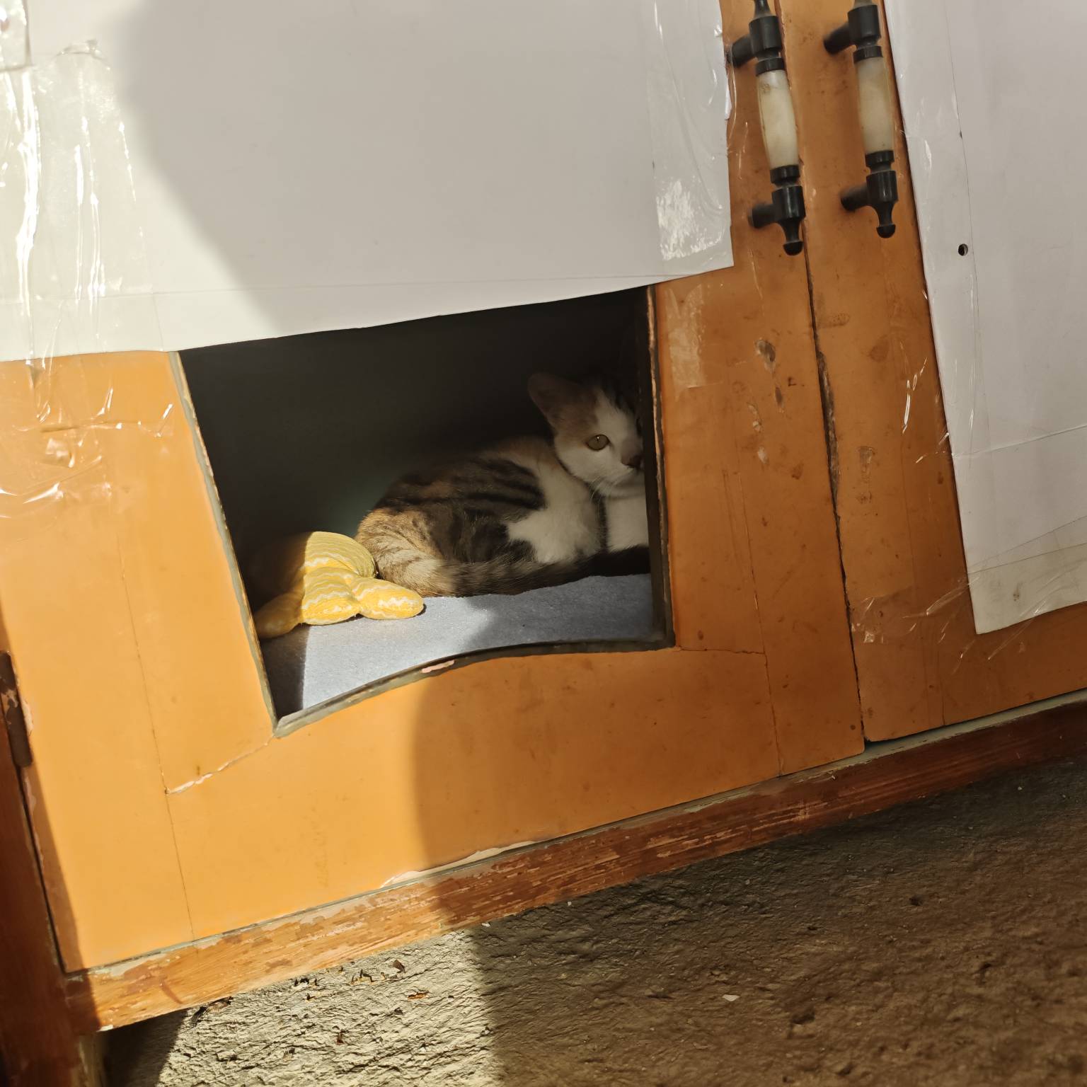 自从挂壁以后，每天最高兴的时候就是广子爆个三毛五毛的，比拉pg爆了还高兴


23 / 作者:苦难yt / 