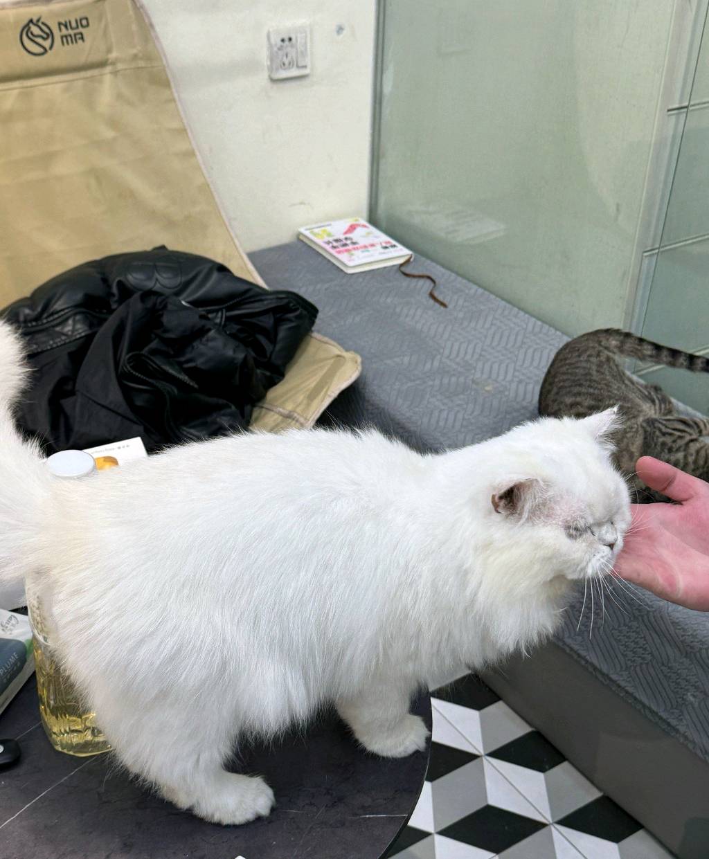 我宣布过了十二点人人破万。人均中手机，中平板，中10000E卡，中黄金。

54 / 作者:昼夜寻觅 / 