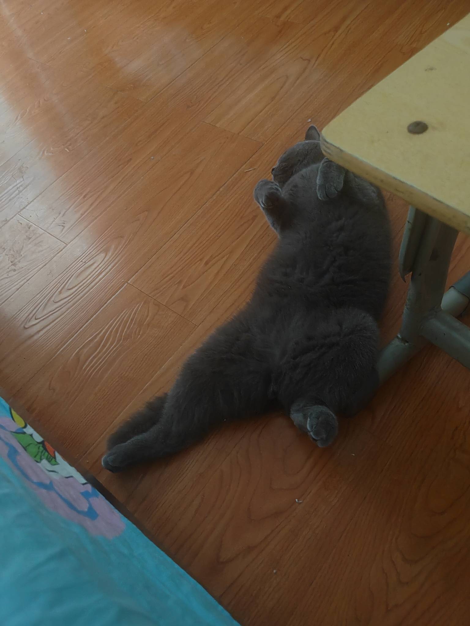 。99 / 作者:我爱小小孟 / 