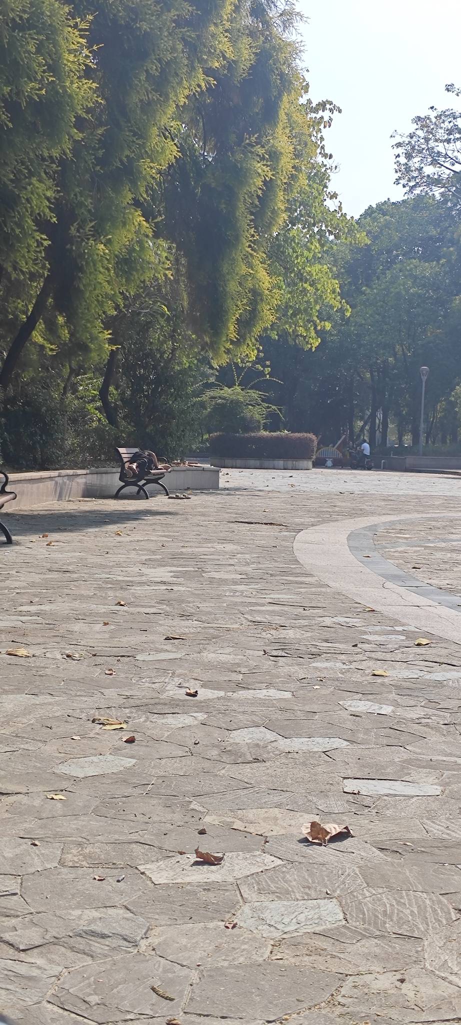 东莞高埗挂壁崽是真多啊！今天来公园里面一看座椅上全是躺尸仔

87 / 作者:卡农豆包 / 