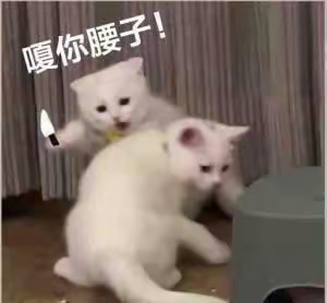 没毛打保险螺丝了，三分钟3.88，除去码钱也就3.38
61 / 作者:猴子321 / 