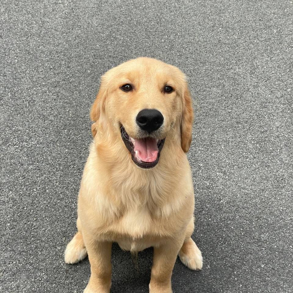 老哥们OPPO手机用爱加速，微信分身还是原来的IP，vivo手机可以全局。不同系统逻辑还不65 / 作者:陶海依旧s / 