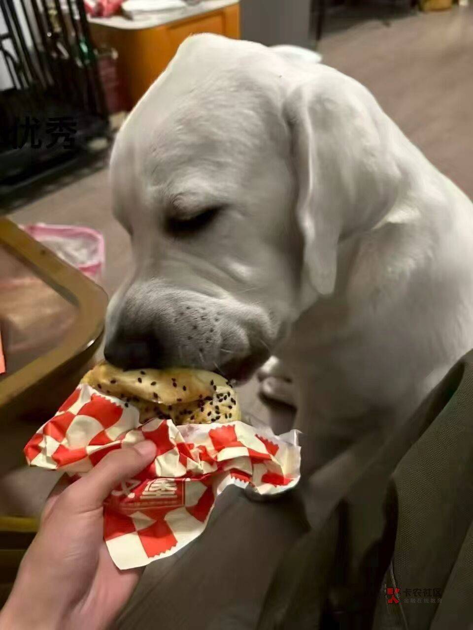 什么？刘倩倩结婚了？

97 / 作者:鱼绮绣人生 / 