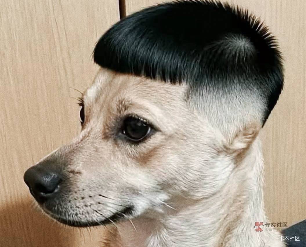 看了眼很久没打开的qq，我发现以前的初中同学高中同学该成家的成家，有小孩儿的有小孩71 / 作者:公孙梨pear / 