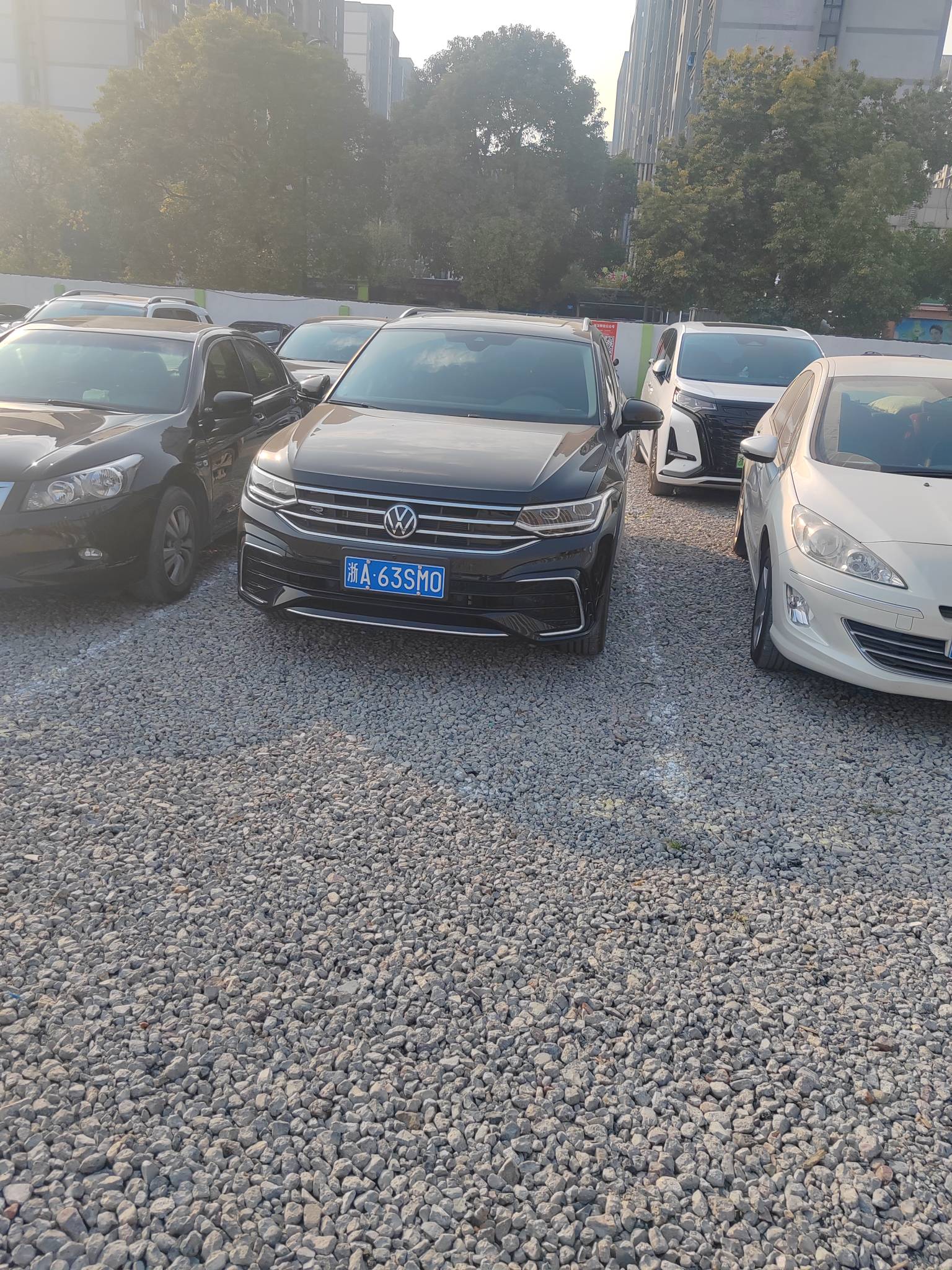 我恨自己，恨自己一事无成，看着其他假老哥们在那里用谎言肆意麻痹着我们这些真老哥，60 / 作者:我爱小小孟 / 