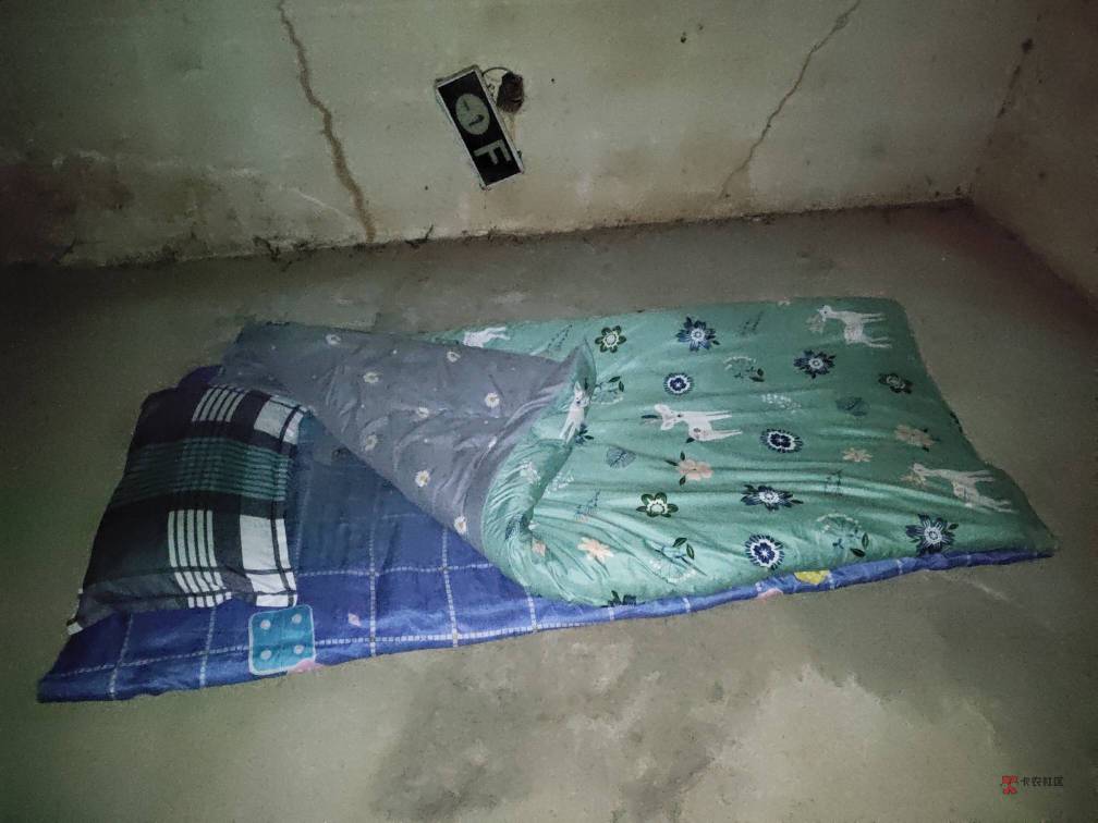 睡觉

82 / 作者:虾仁炒饭 / 